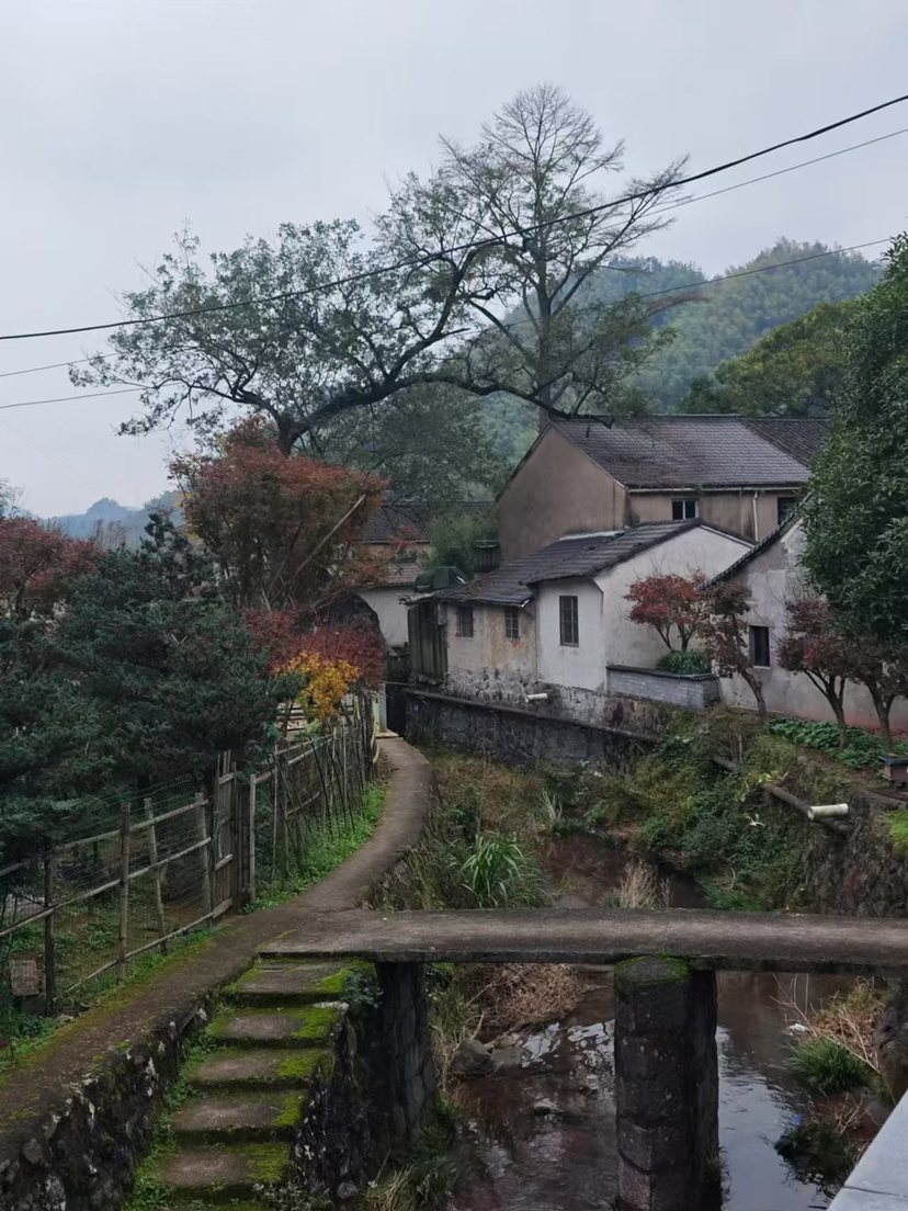 四明秋游 蜘蛛岭