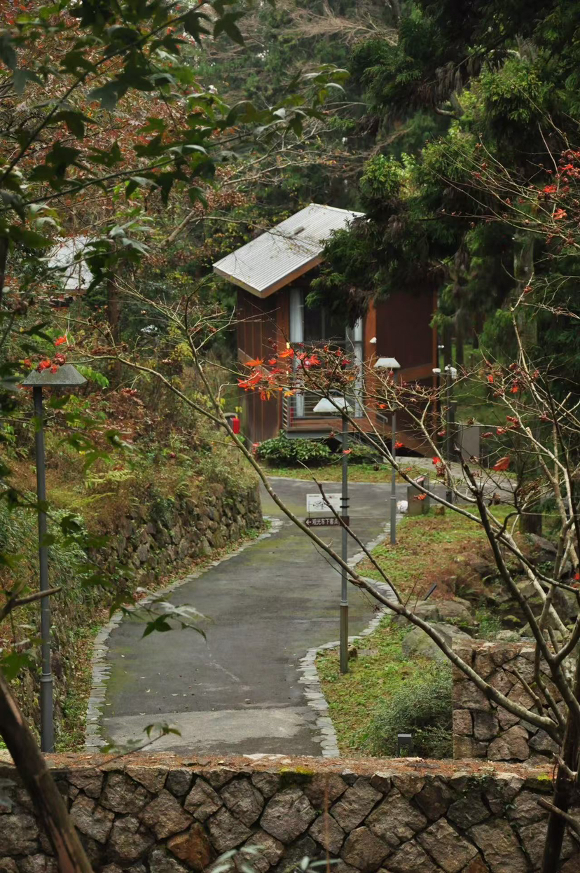 四明秋游 蜘蛛岭