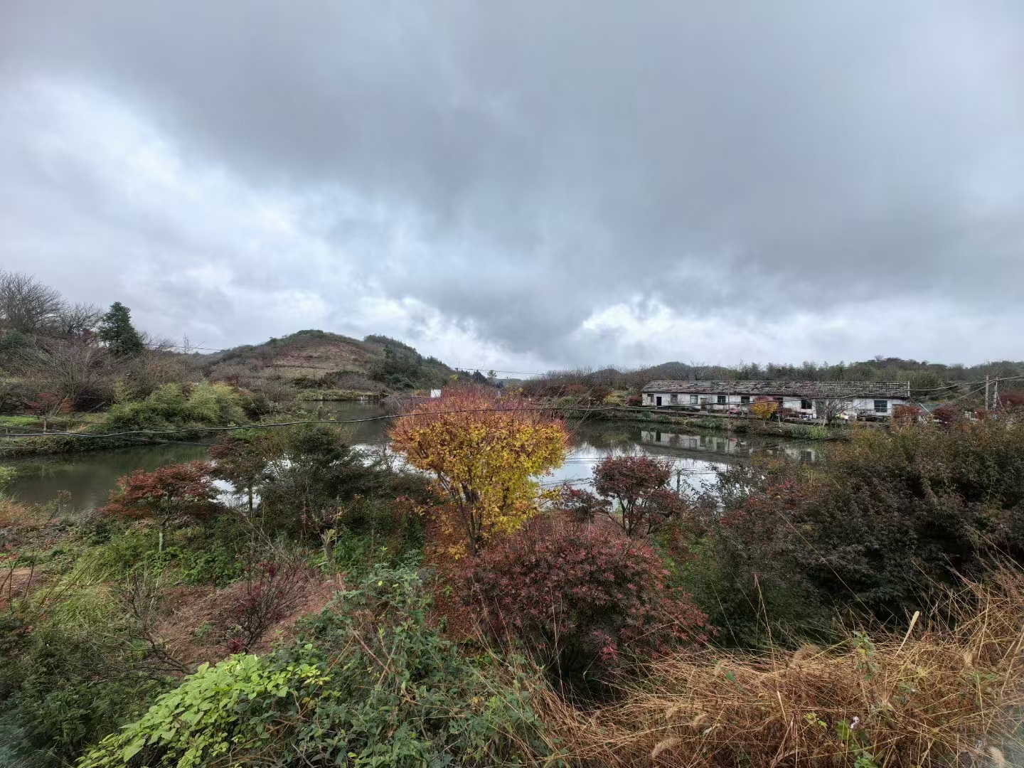 茅镬村