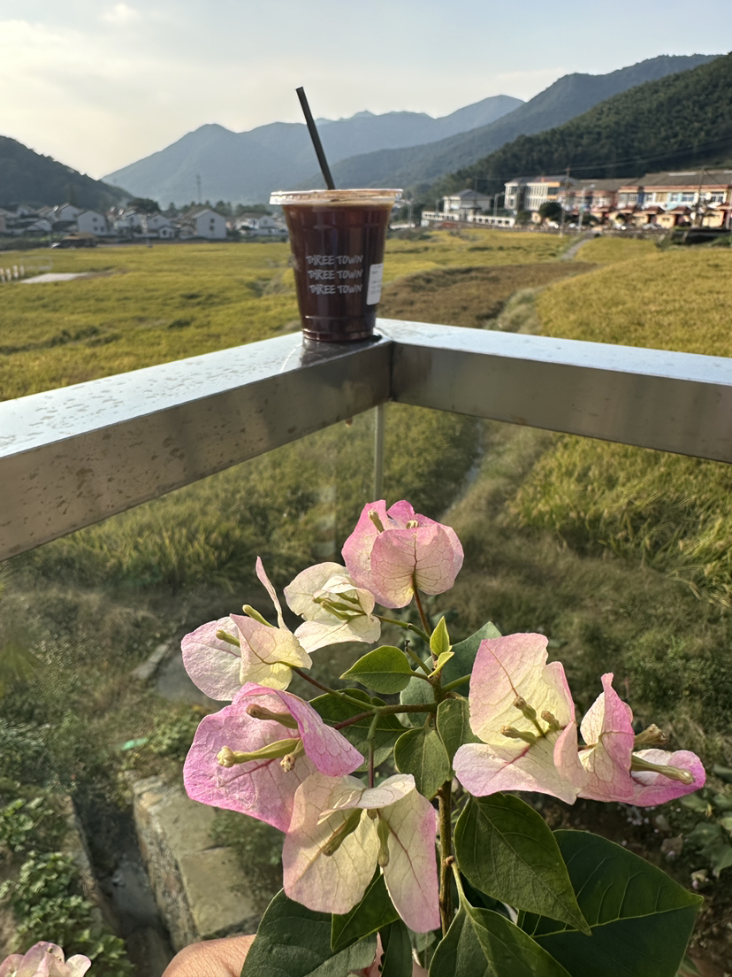 指南山非常美,天童山徒步的自然风光太差了,幸亏终点处有一片没被收割的稻田,值得喝杯咖啡,躺平在类似巴厘岛的稻田咖啡店吊床