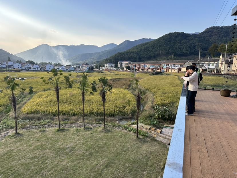 指南山非常美,天童山徒步的自然风光太差了,幸亏终点处有一片没被收割的稻田,值得喝杯咖啡,躺平在类似巴厘岛的稻田咖啡店吊床