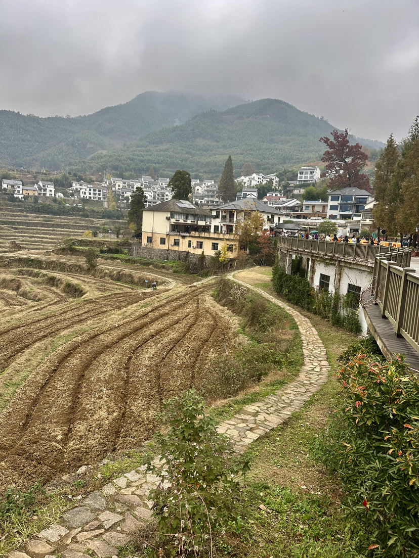 指南山非常美,天童山徒步的自然风光太差了,幸亏终点处有一片没被收割的稻田,值得喝杯咖啡,躺平在类似巴厘岛的稻田咖啡店吊床