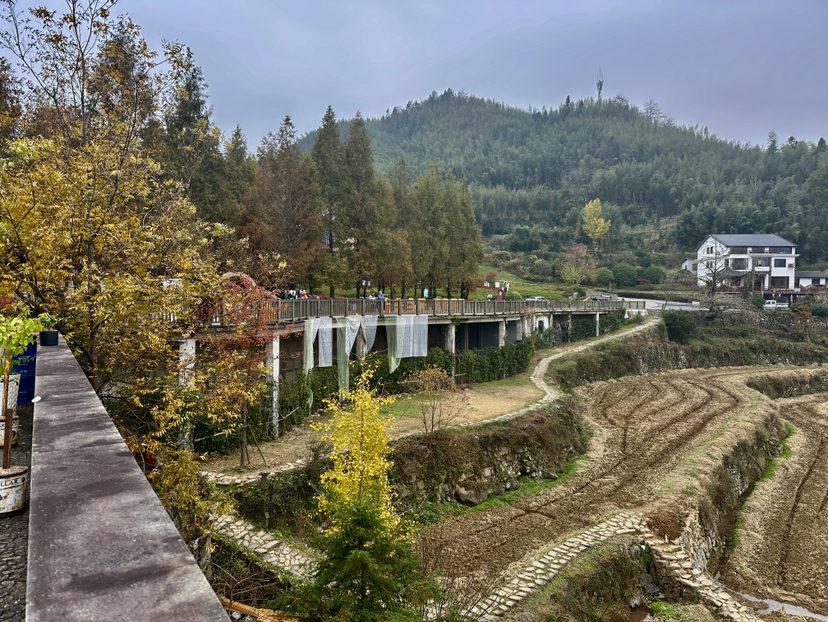 指南山非常美,天童山徒步的自然风光太差了,幸亏终点处有一片没被收割的稻田,值得喝杯咖啡,躺平在类似巴厘岛的稻田咖啡店吊床