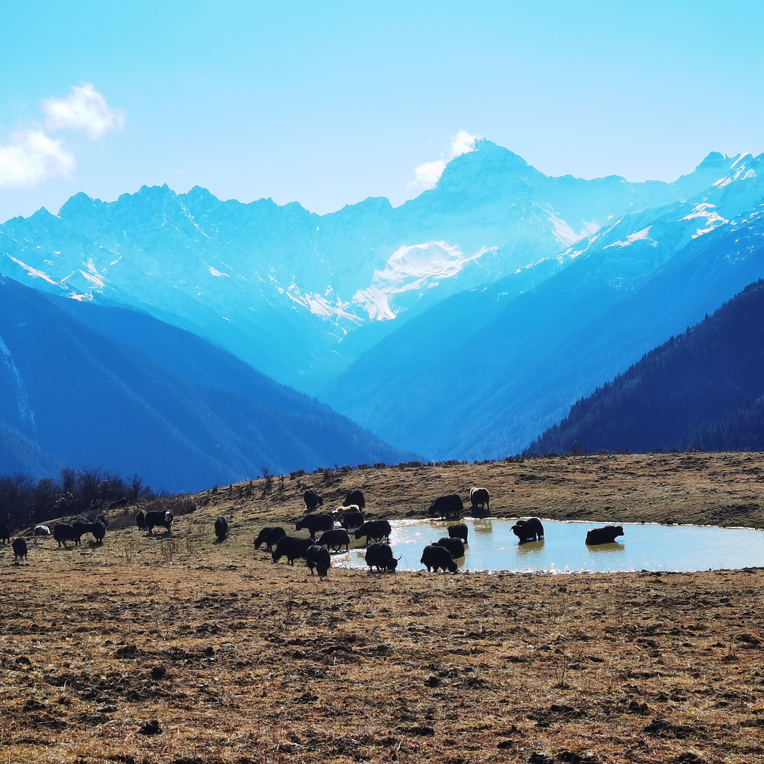 理县好风景