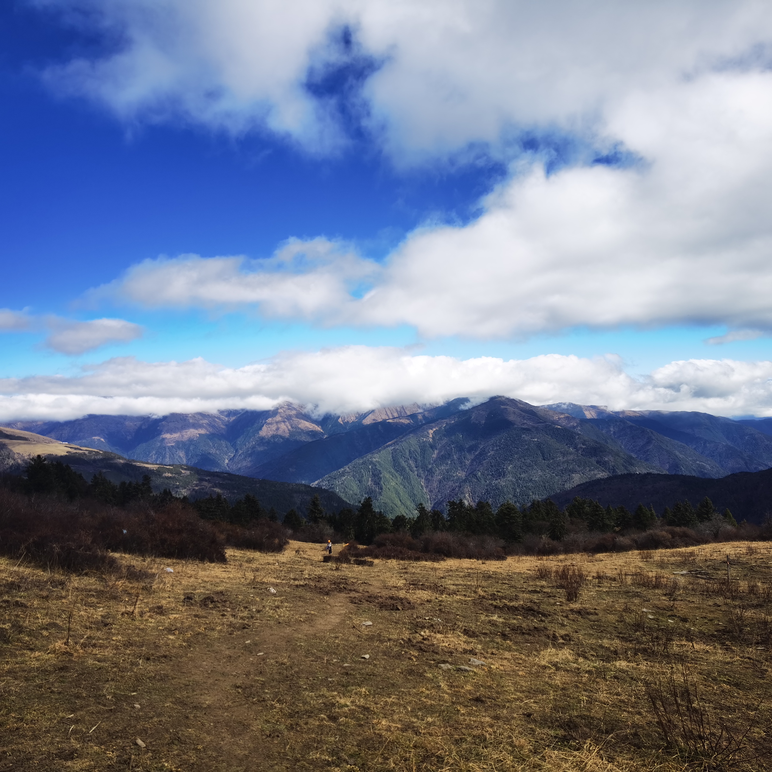 理县好风景