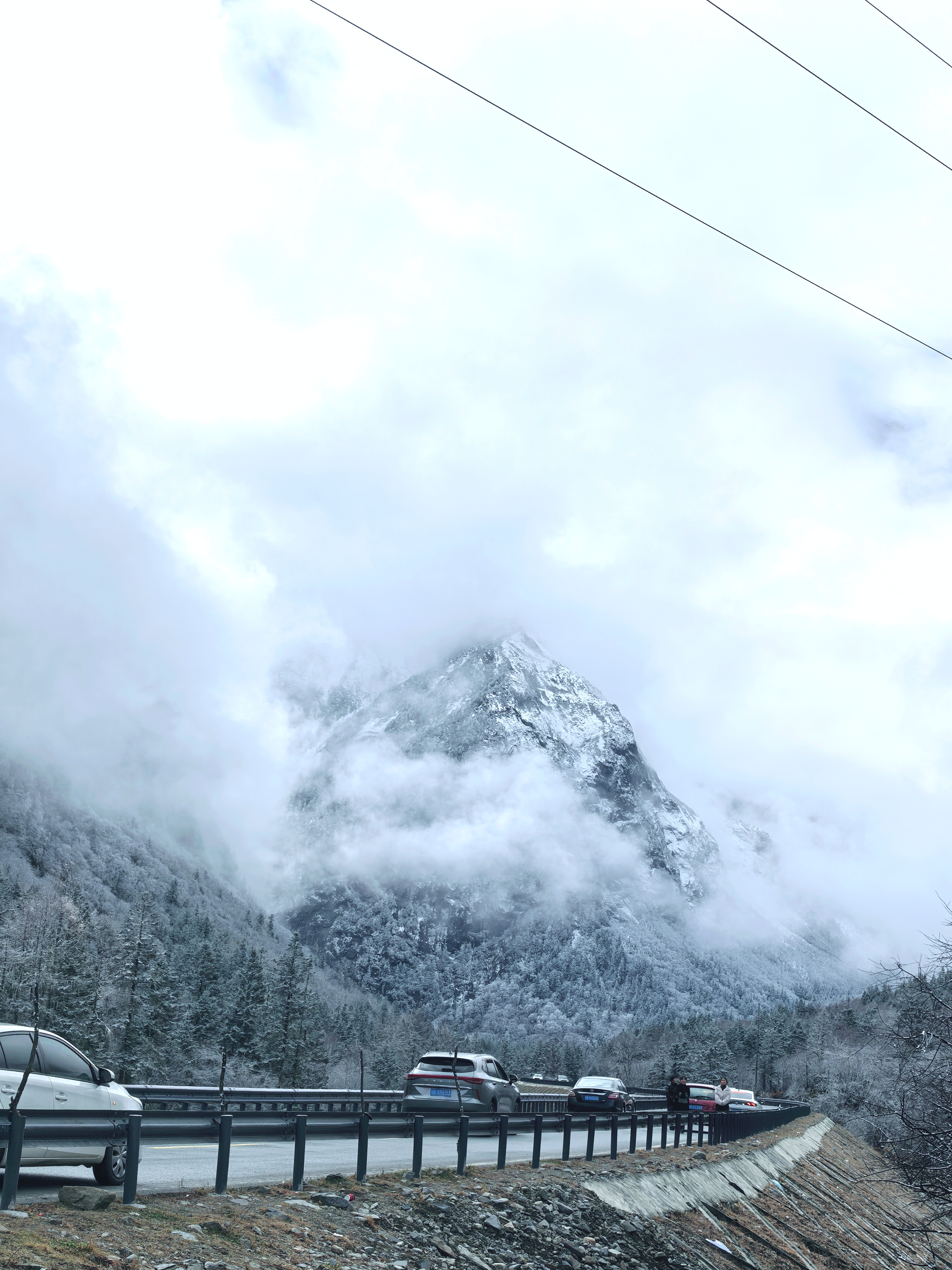 春看百花冬看雪,醒亦念卿,梦亦念卿
