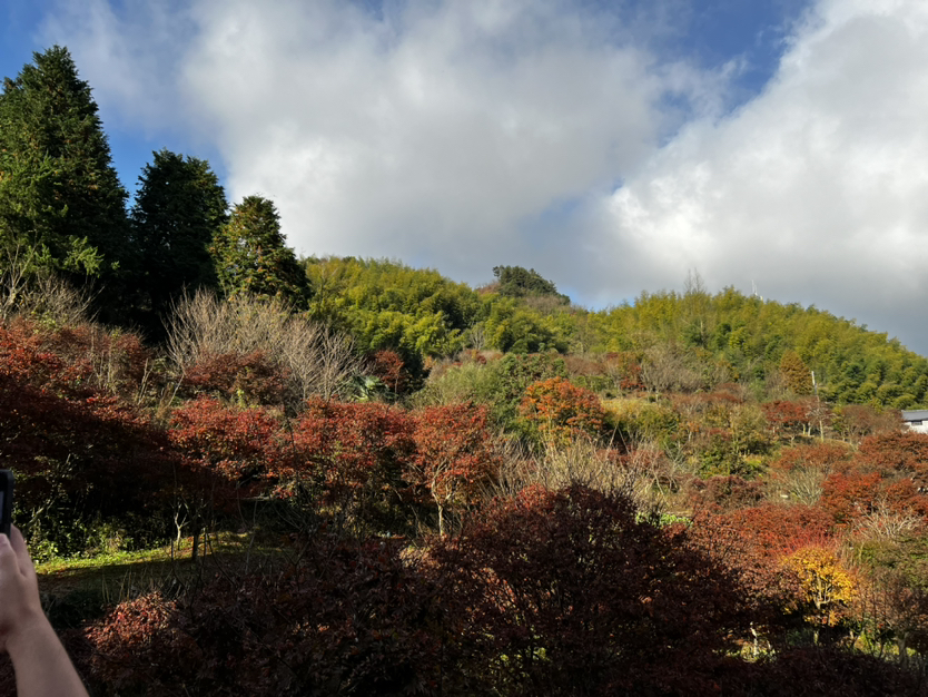 四明山