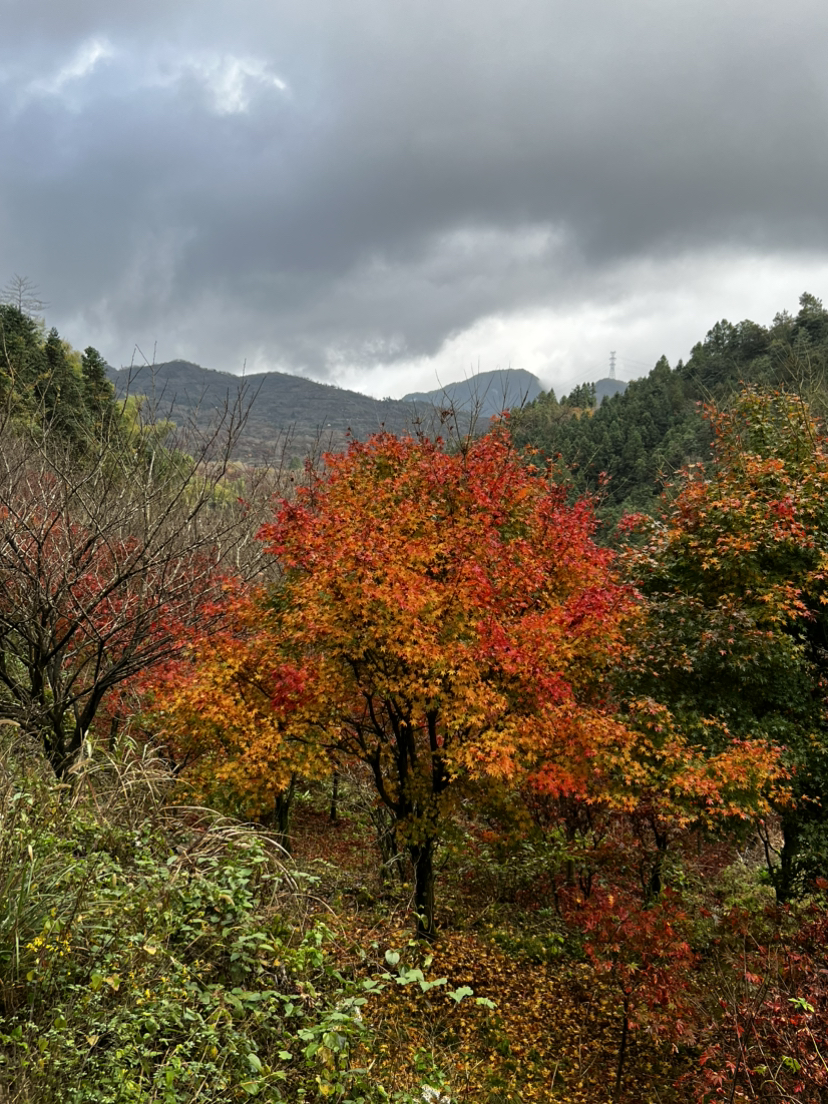 四明山