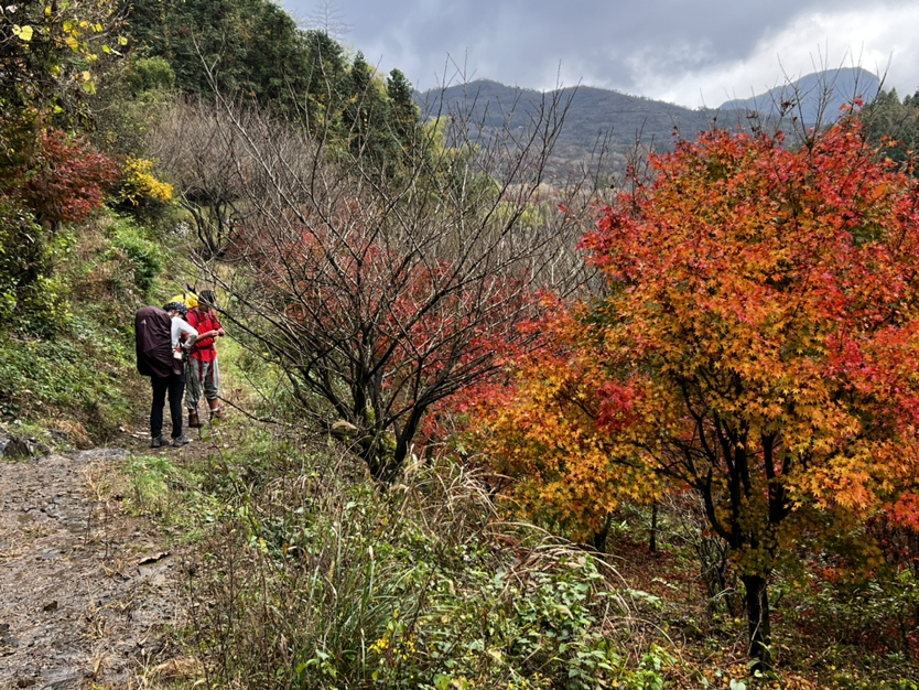 四明山