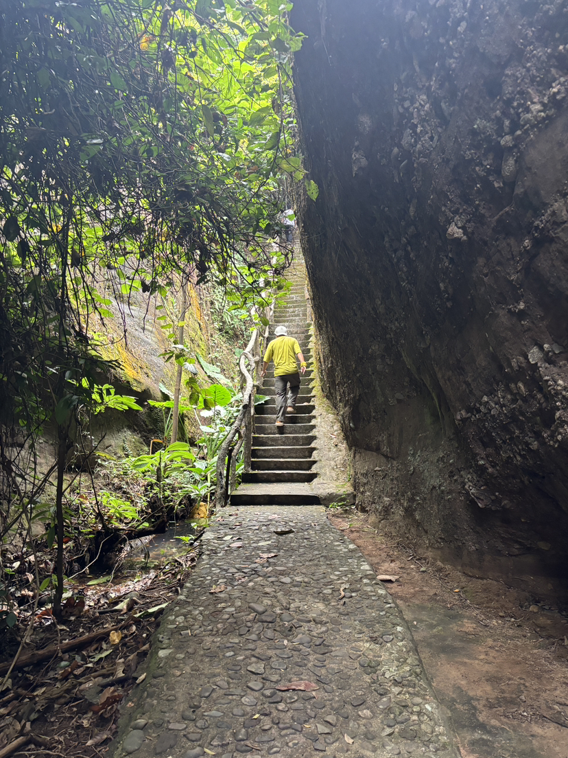 旅游是一场充满魔力和挑战的奇妙之旅。它让大家有机会走出家门，去探索这个丰富多彩的世界。在旅途中，大家不仅能够赏析到漂亮的