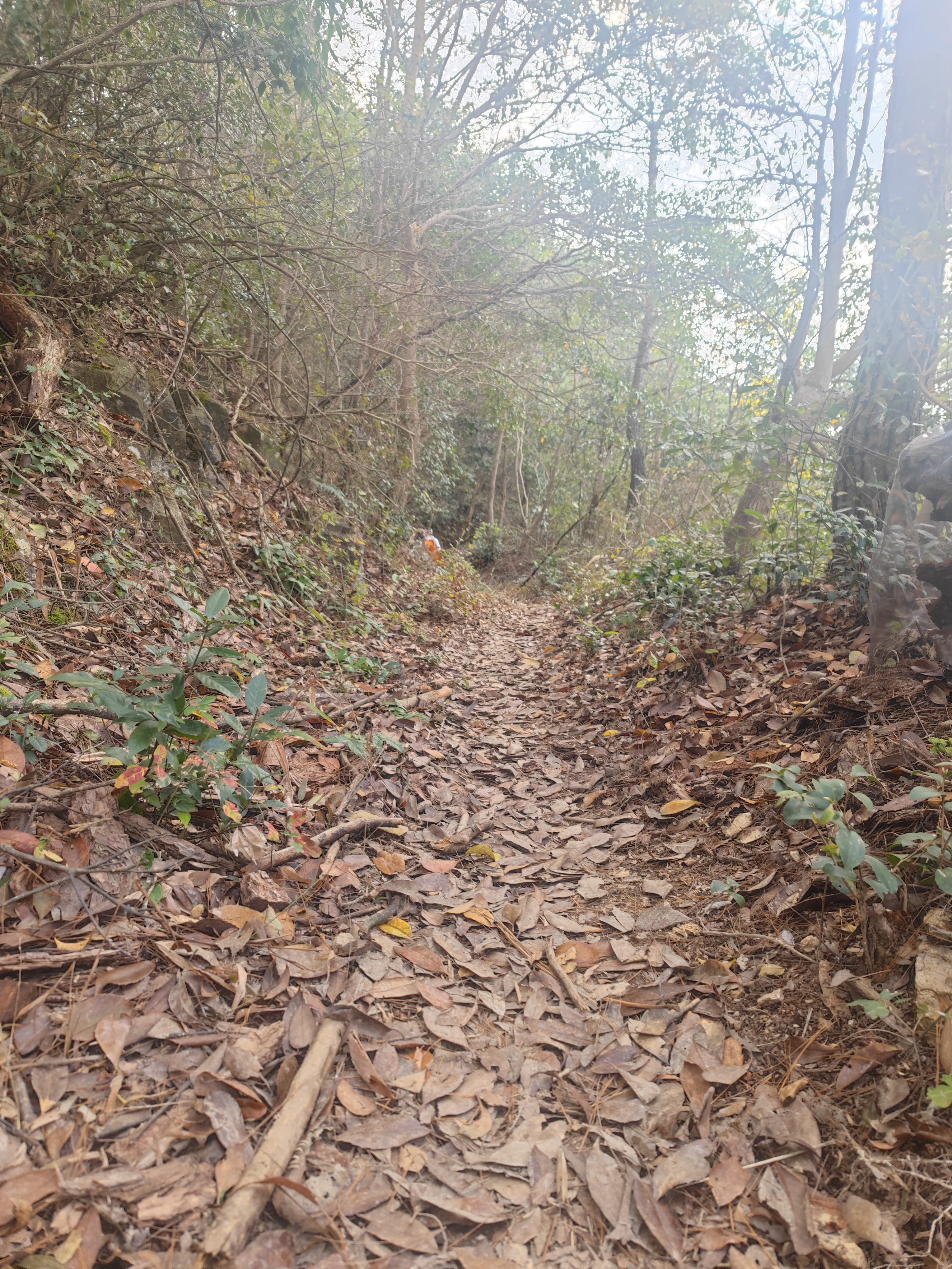 徐凫岩东西岙