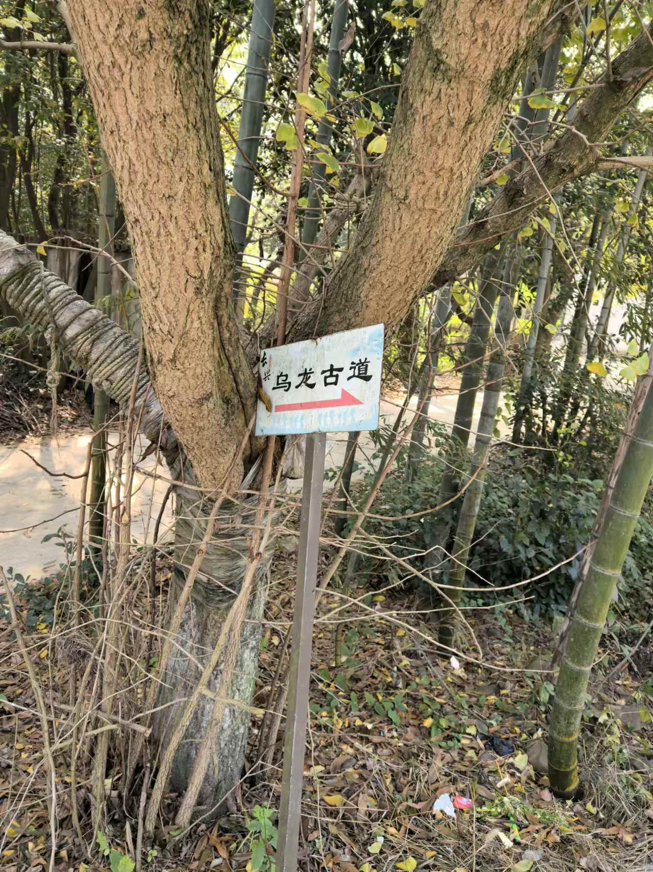 2024乌龙古道之旅