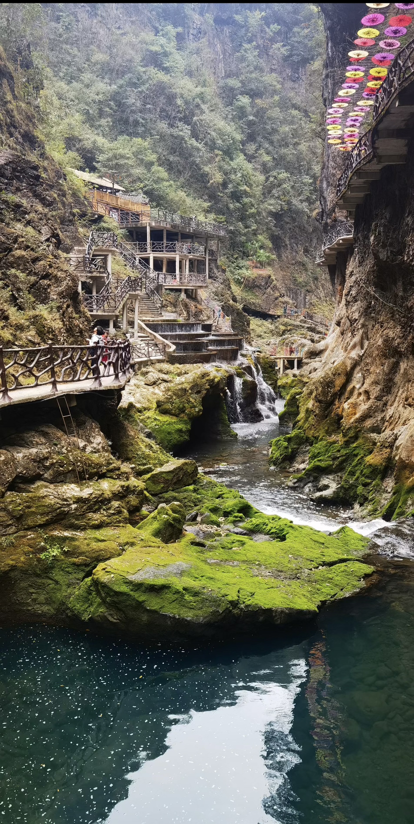 秋季的大理,天空湛蓝,阳光明媚,是一年中比较适合旅游的季节之一。此时,大理的自然风光也格外漂亮,稻田金黄,麦浪飘香,枫叶染