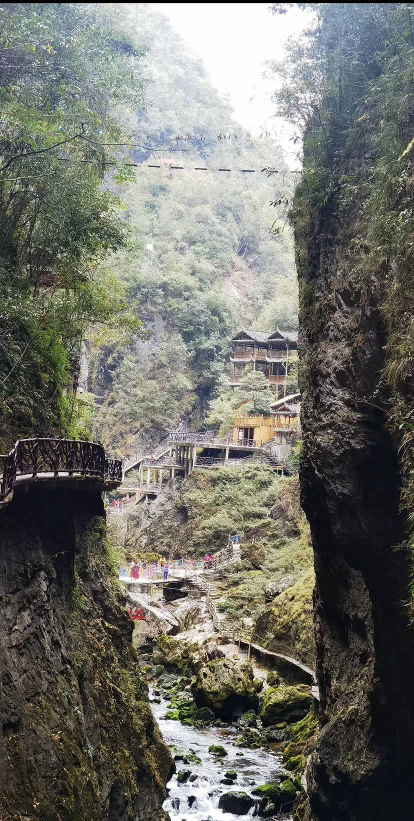 秋季的大理,天空湛蓝,阳光明媚,是一年中比较适合旅游的季节之一。此时,大理的自然风光也格外漂亮,稻田金黄,麦浪飘香,枫叶染