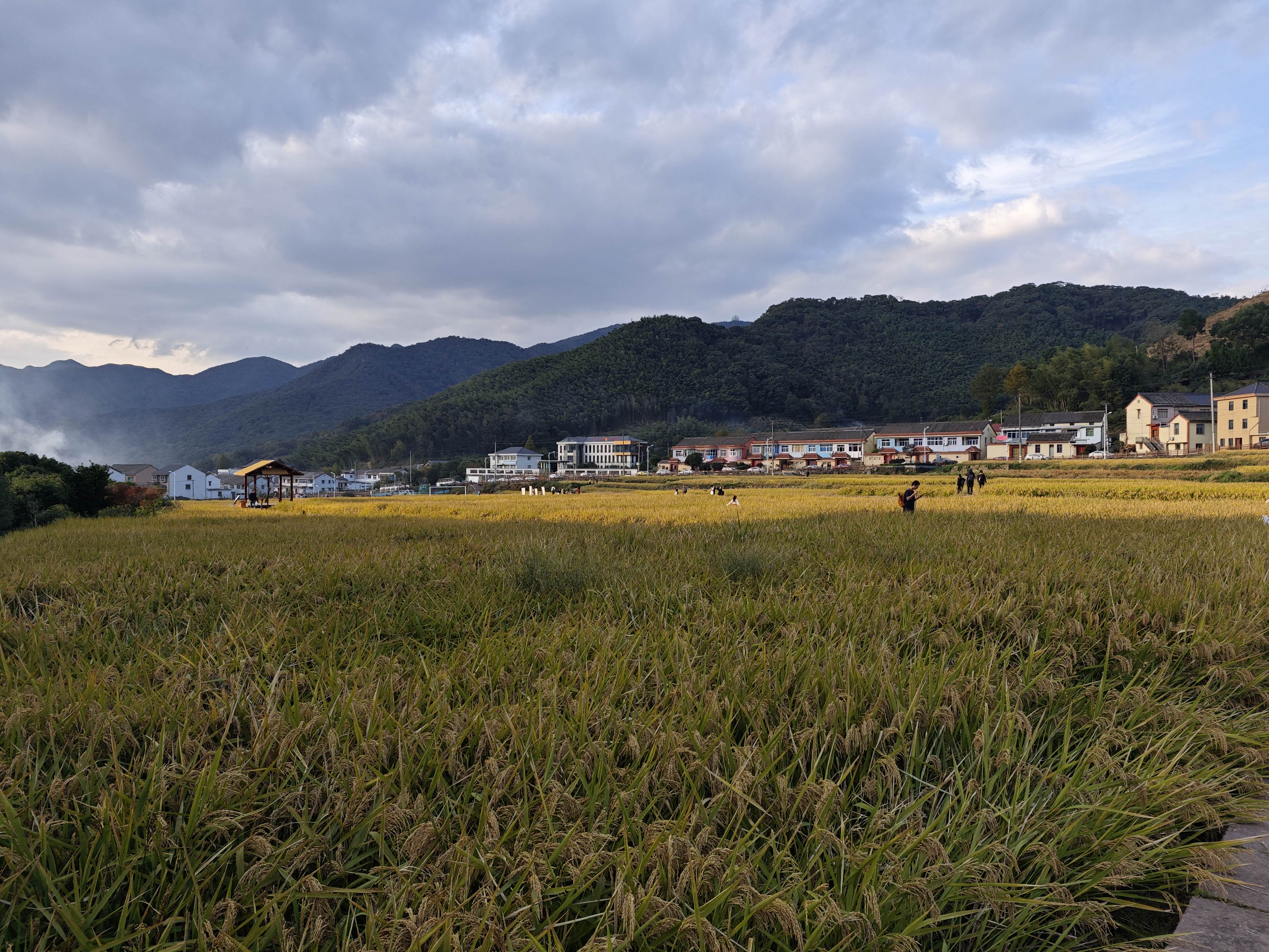 20241124天童禅寺