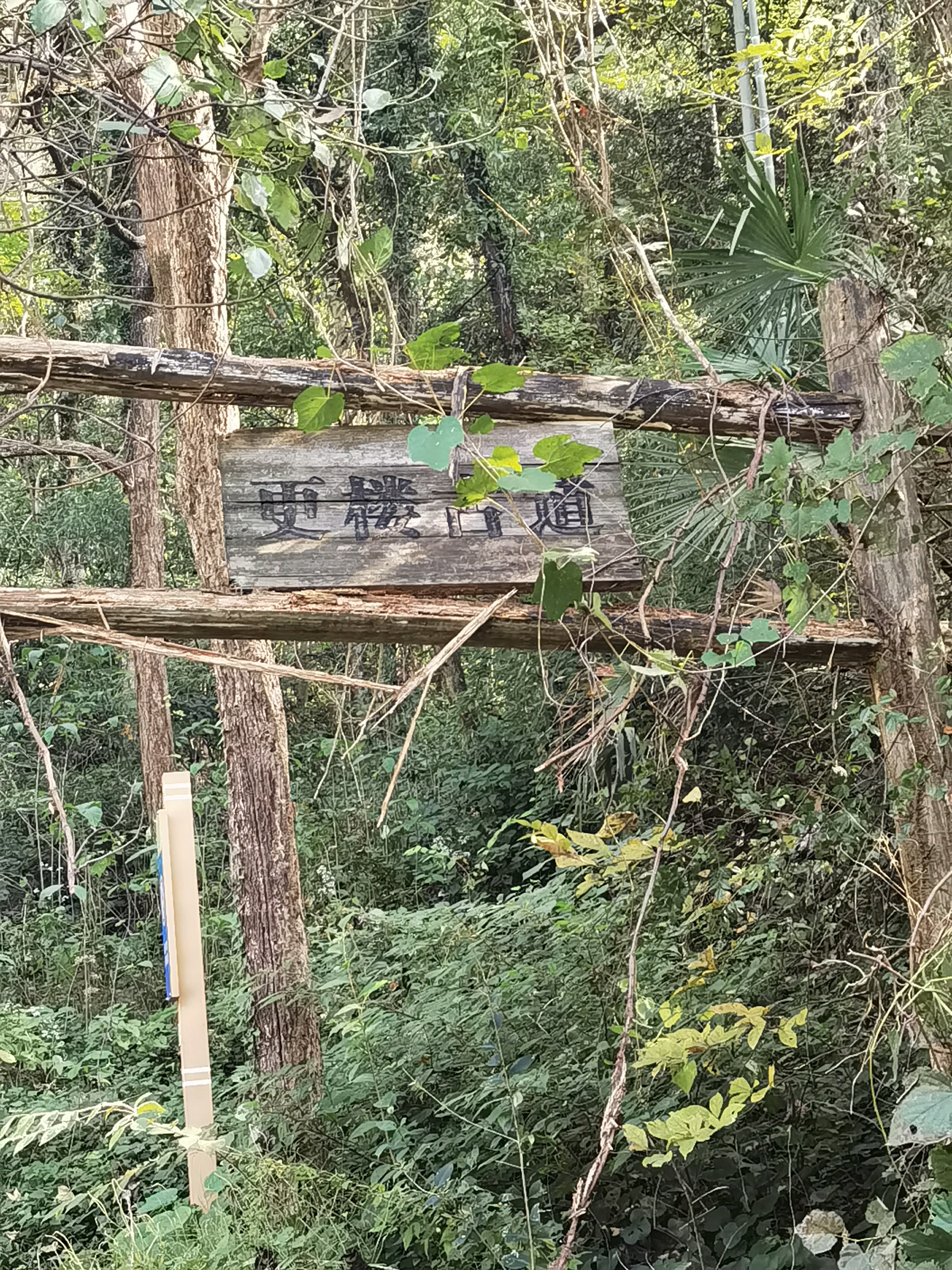 更楼古道徒步
