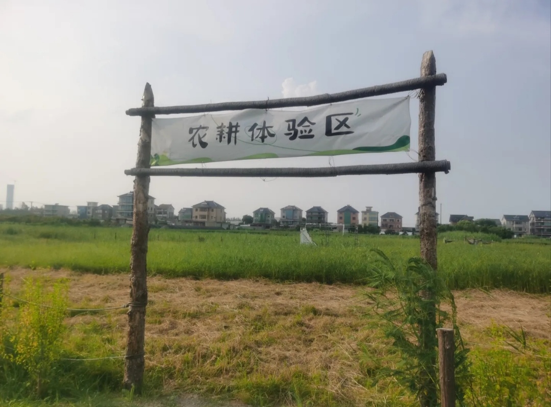 麦腾生态农场