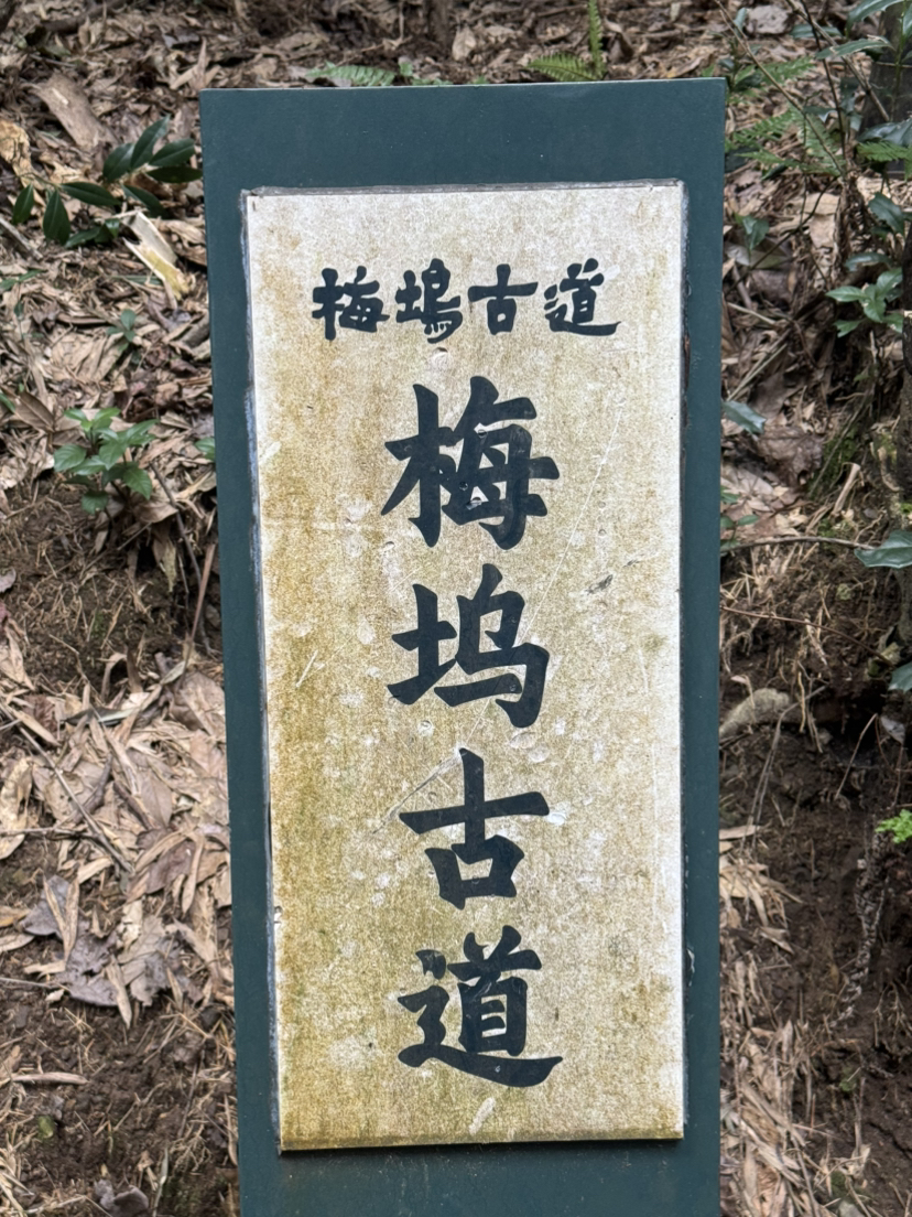 上虞梅坞古道+凤凰山遗址公园