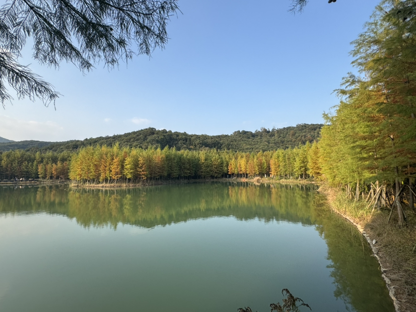 上虞梅坞古道+凤凰山遗址公园