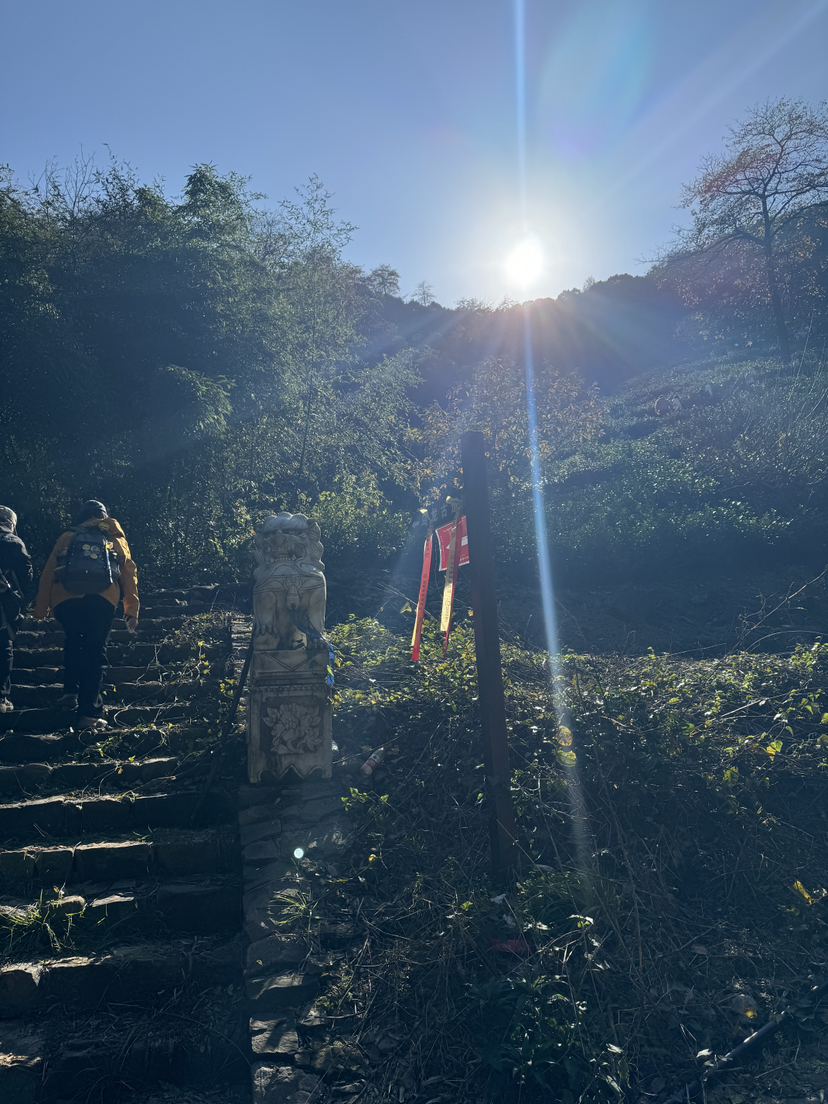 银杏长廊小记在 2024 年 11 月 23 日这个一般却又与众不同的周六，我踏上了心心念念的银杏长廊徒步之旅。