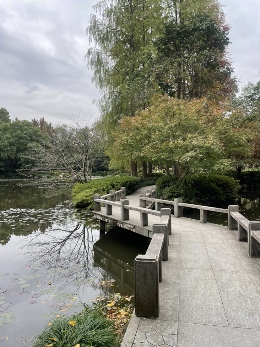 探访秋天杭州植物园