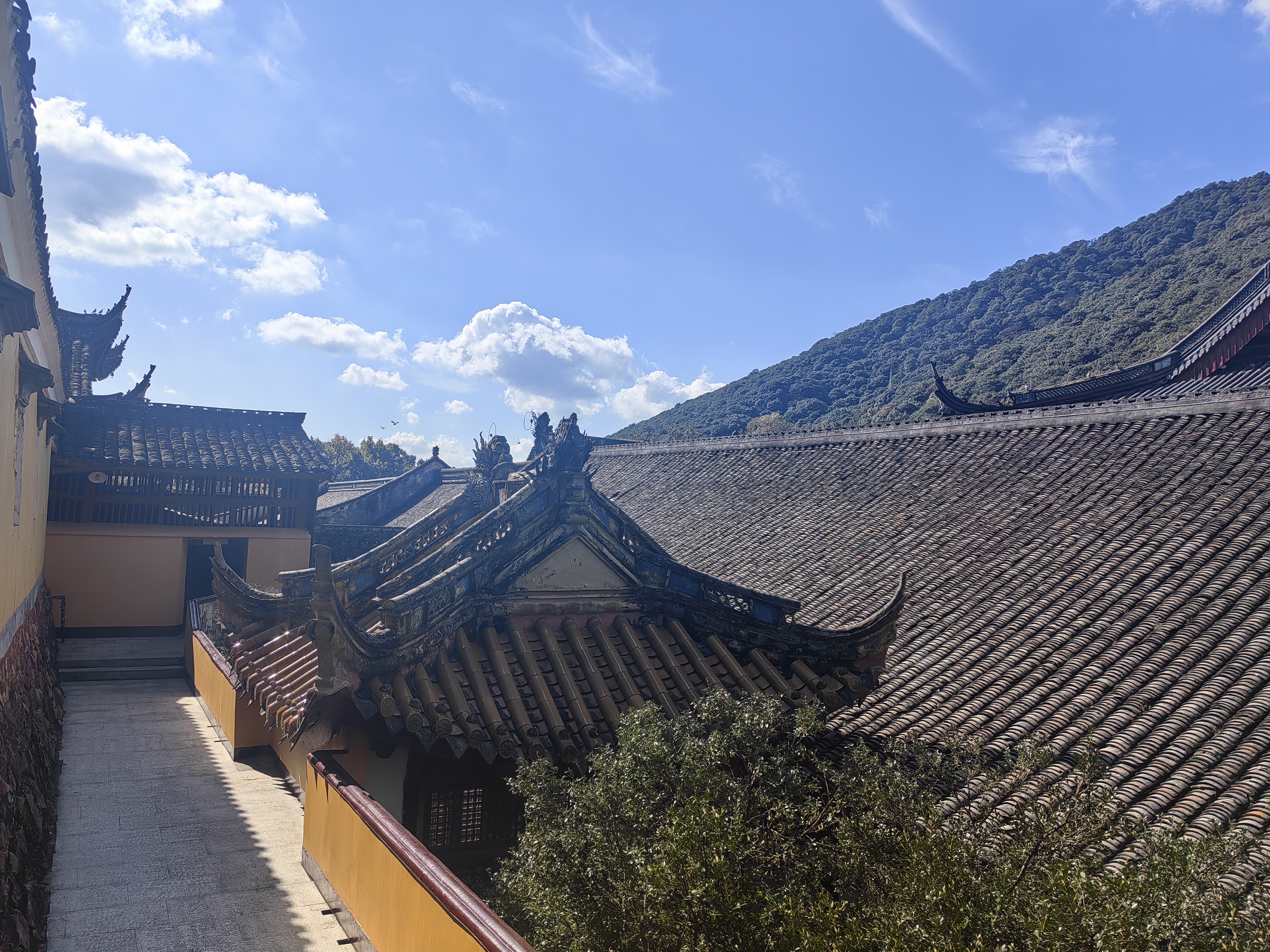 秋衣天童寺