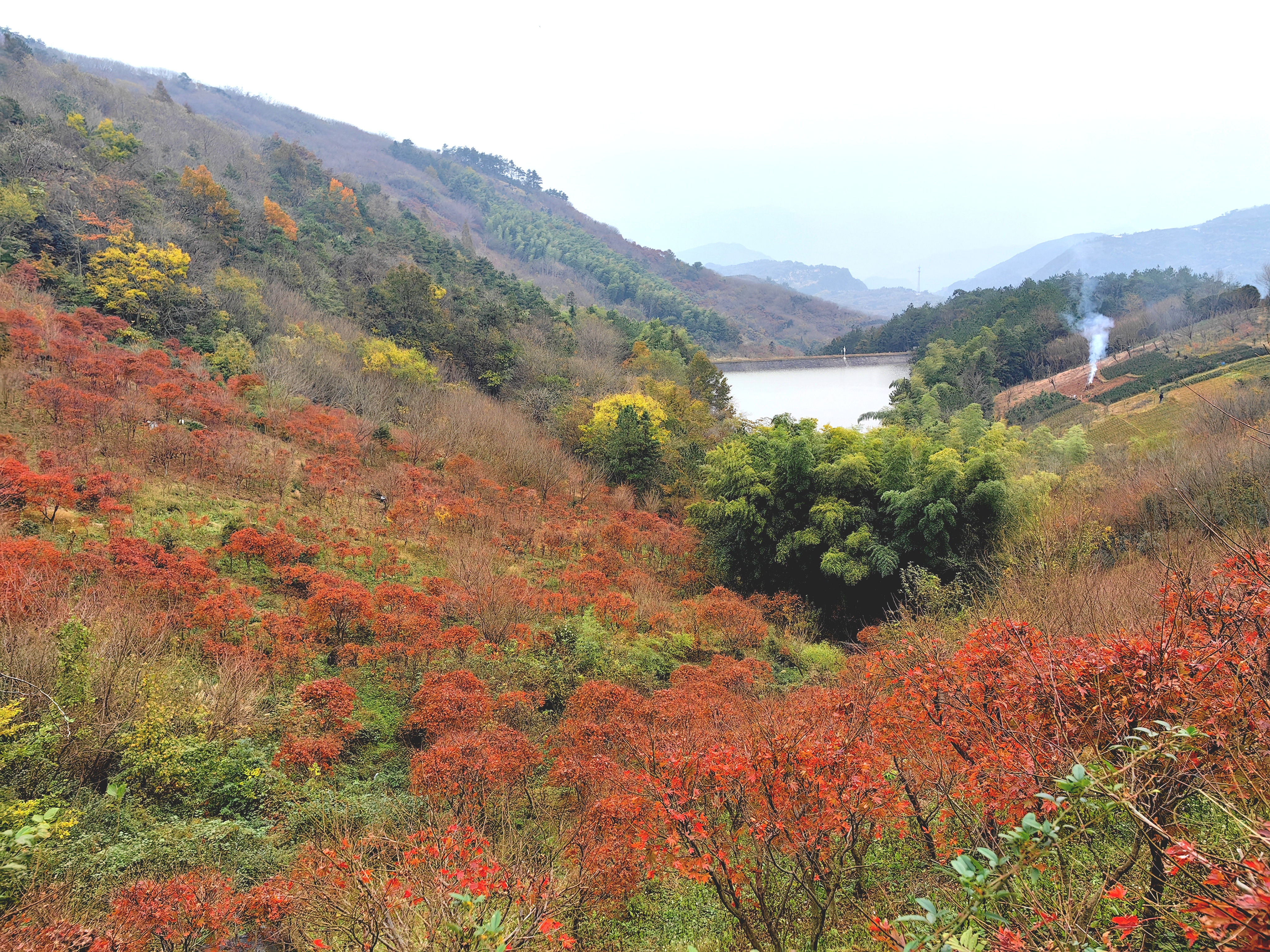 东西岙 秋色美景