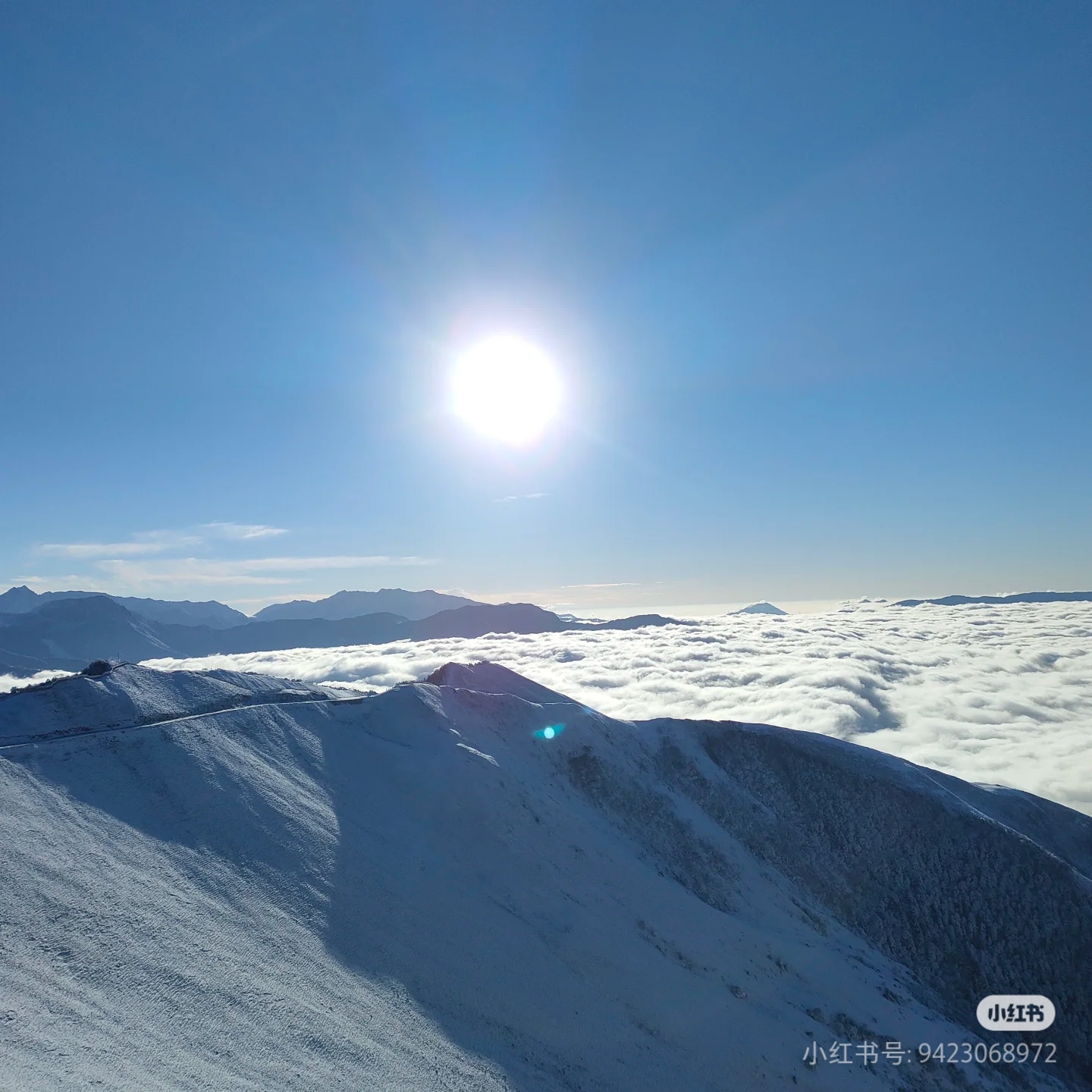 达瓦扎更看云海看雪山