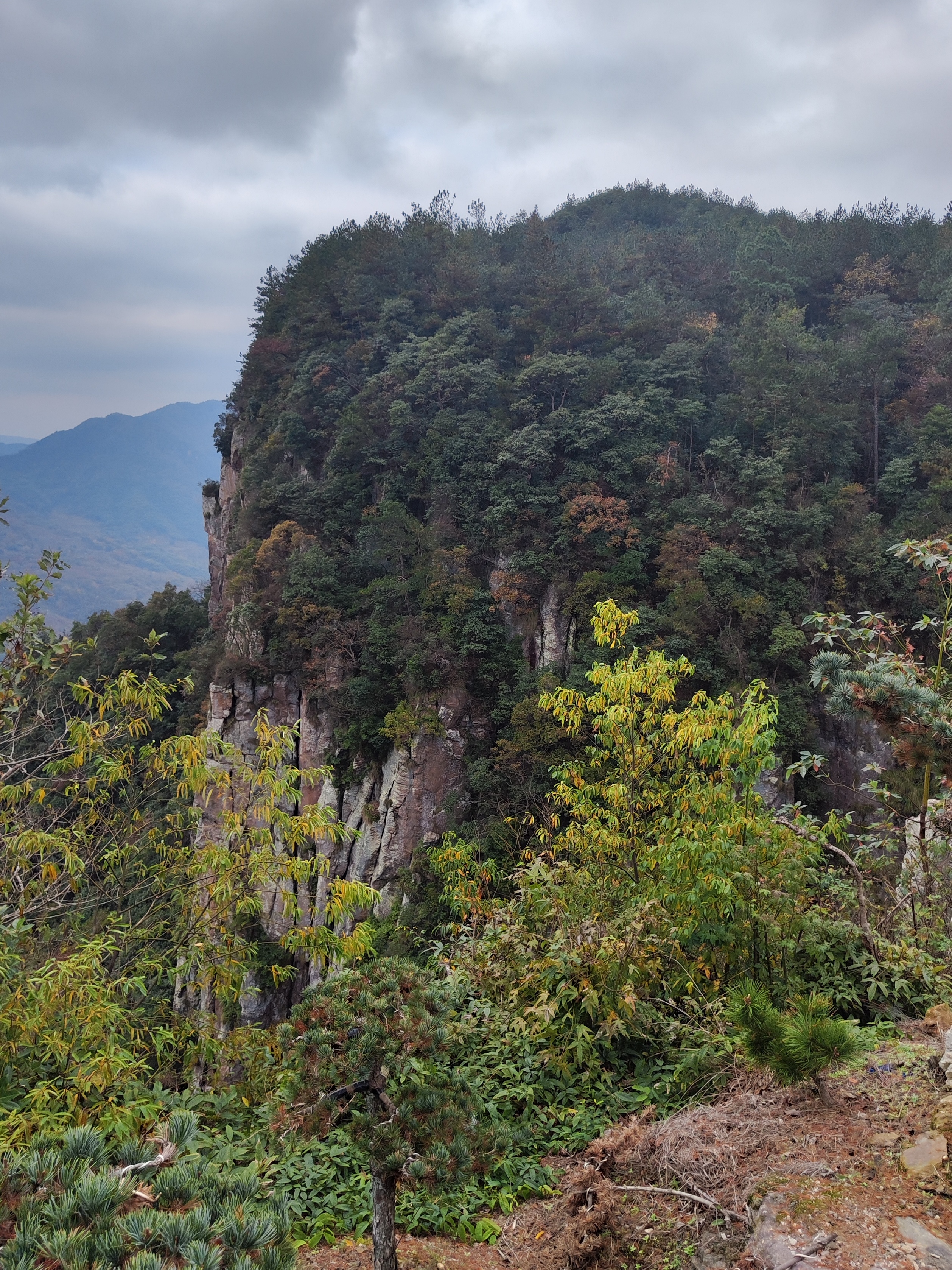 东西岙 秋色美景