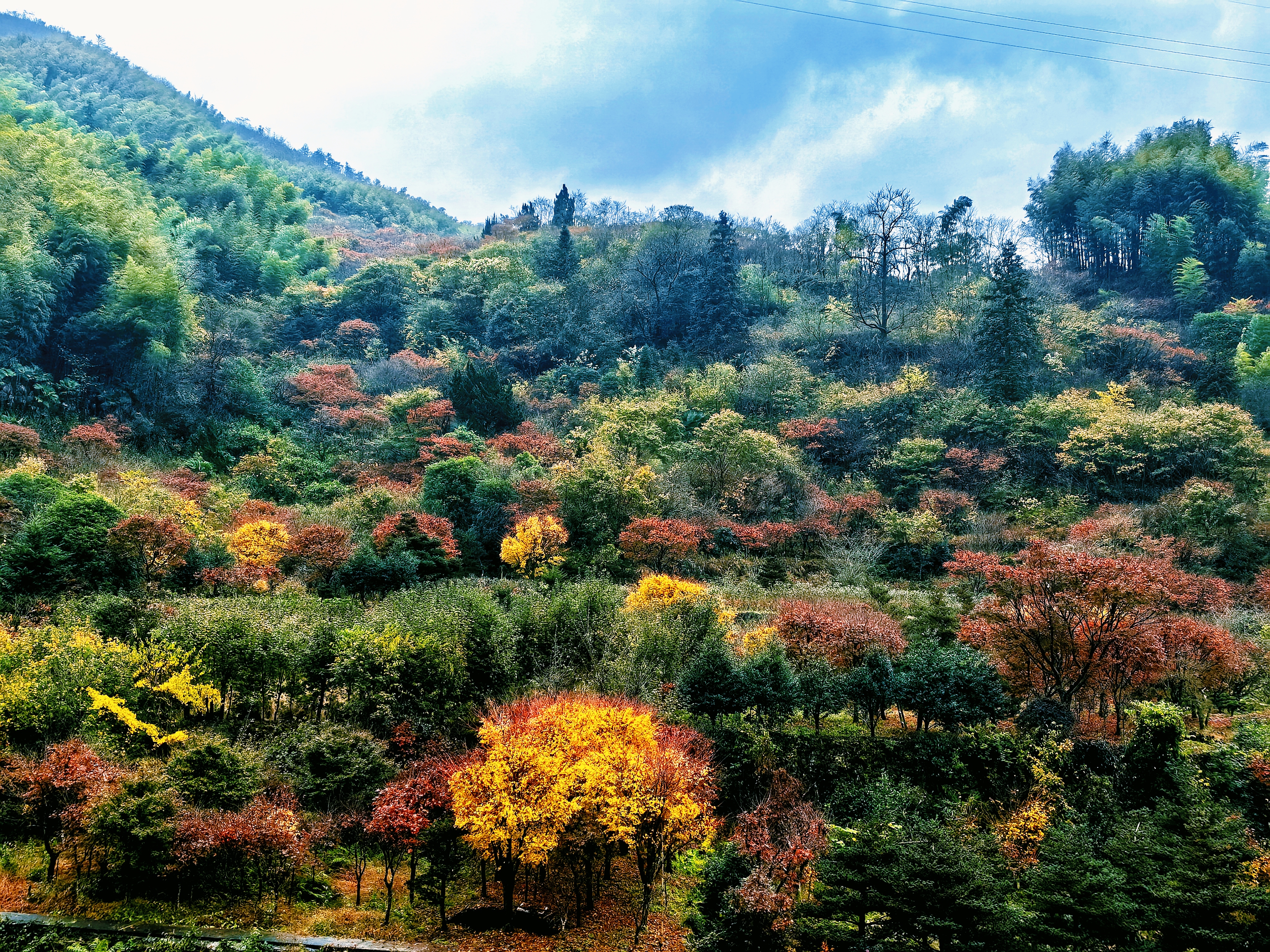 逐枫叶,雨攀奉化最高峰