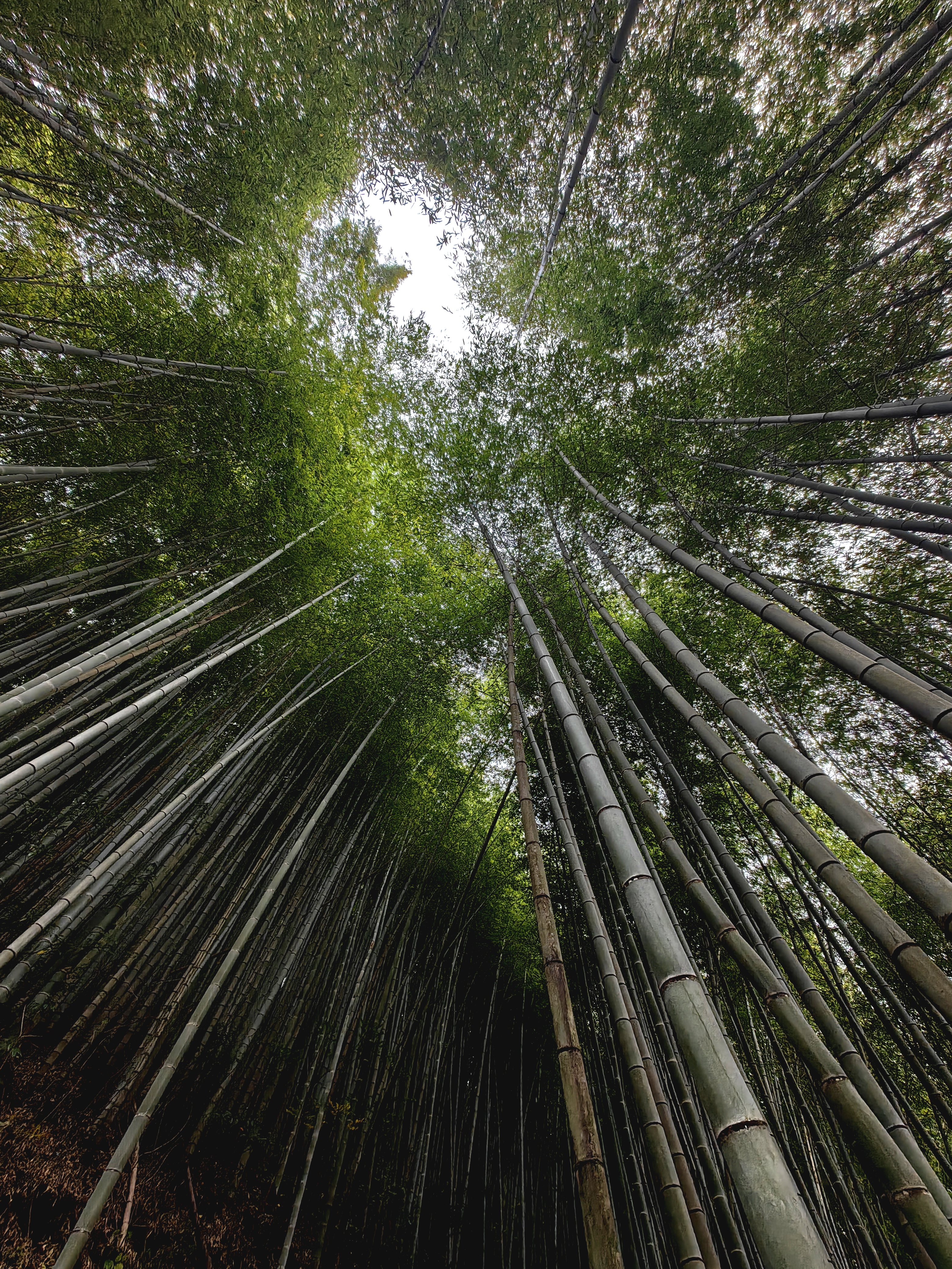 东西岙 秋色美景