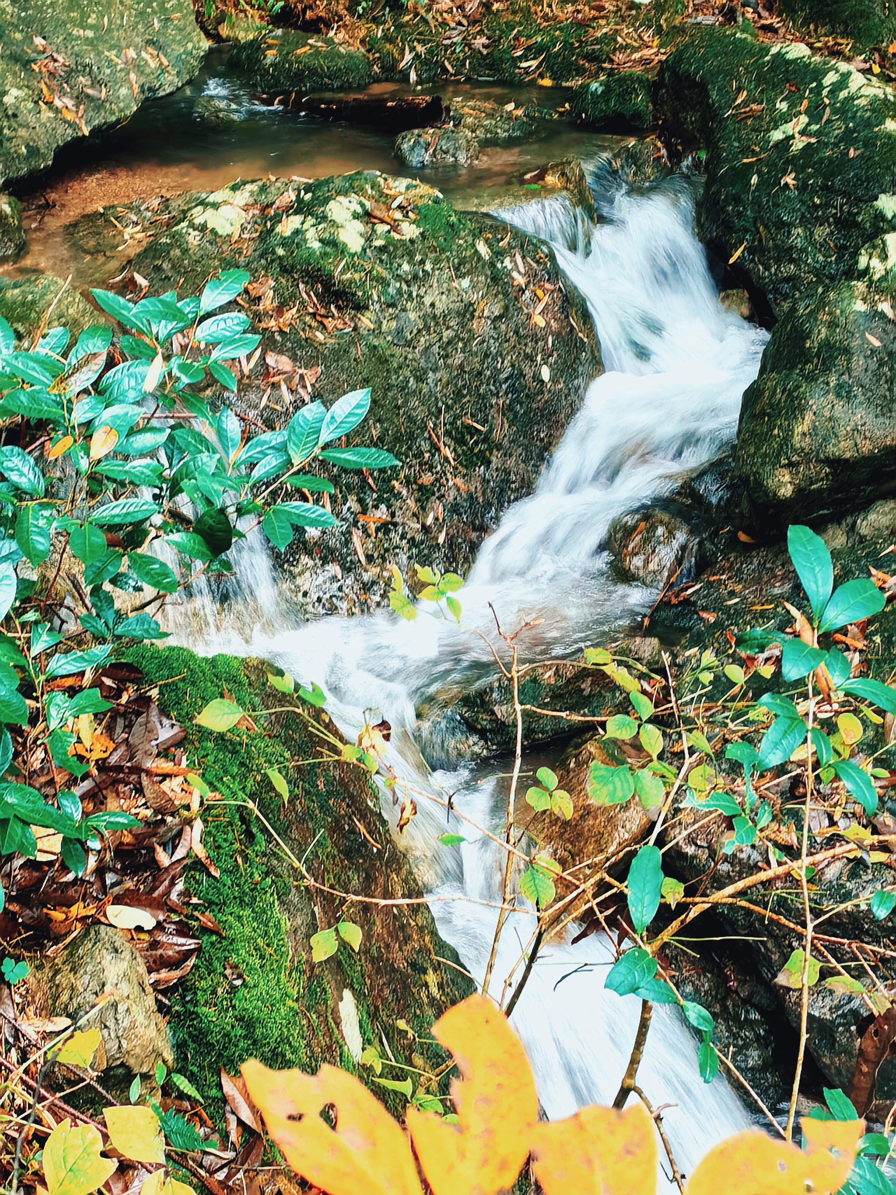 逐枫叶,雨攀奉化最高峰