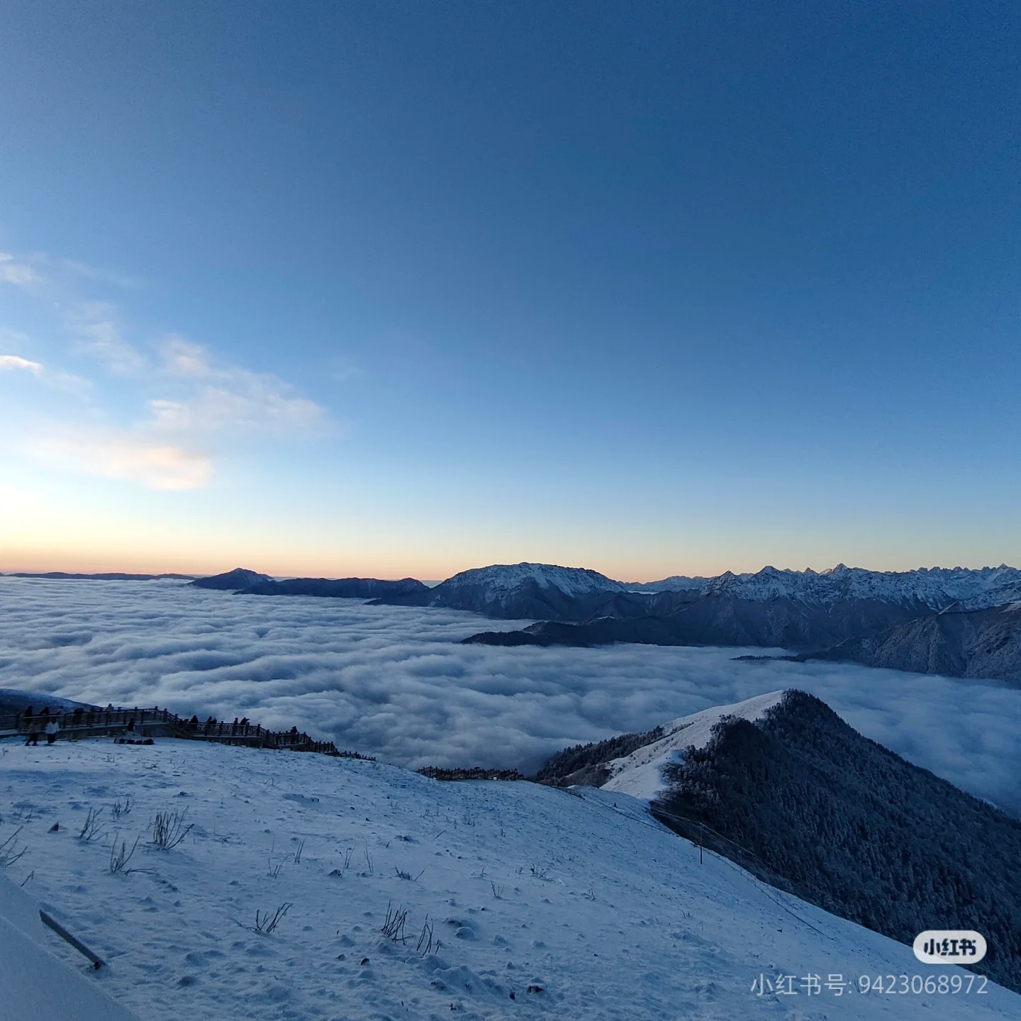 达瓦扎更看云海看雪山