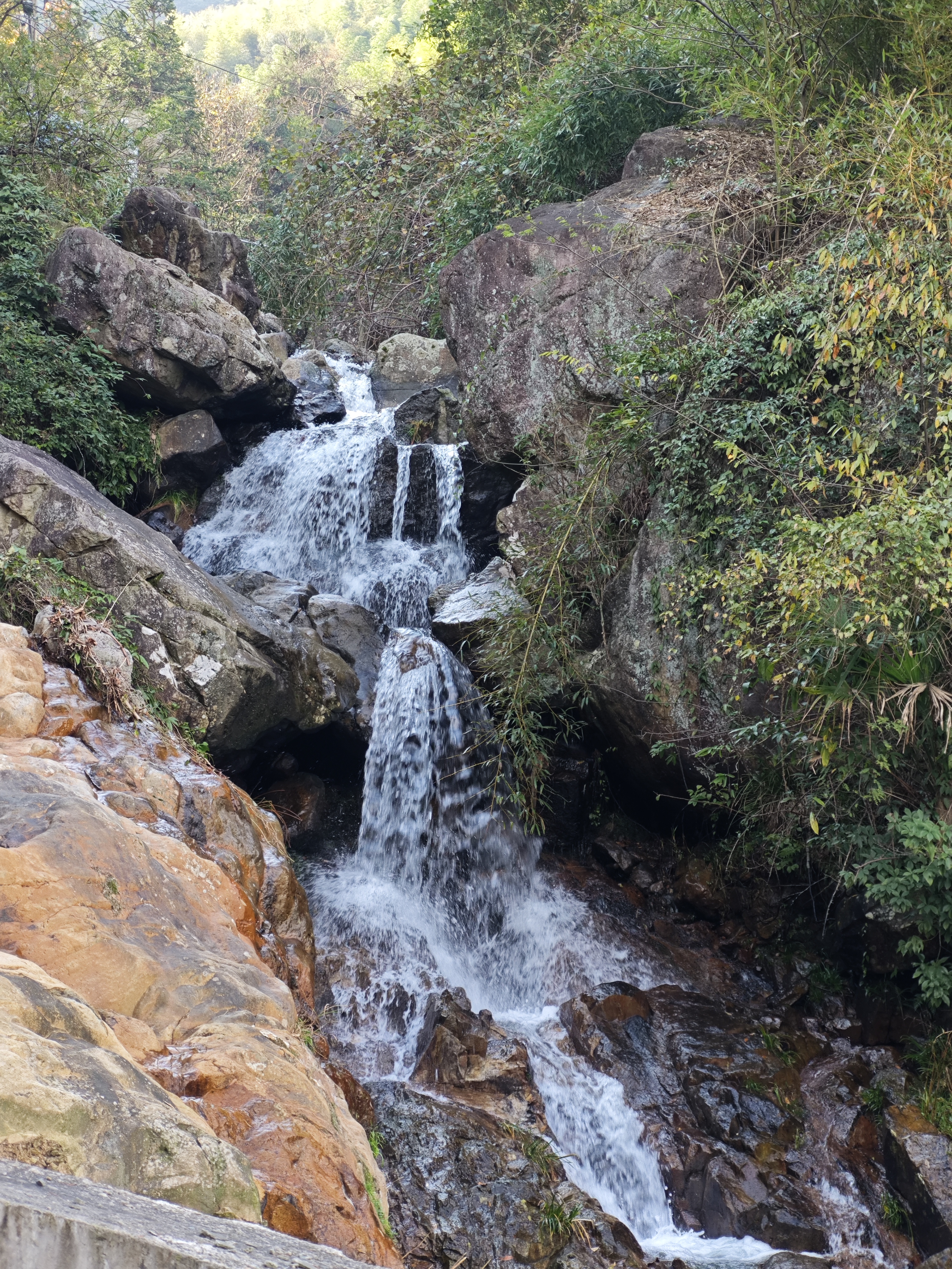 秋徒东岗山