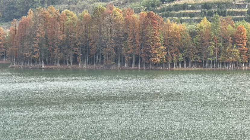 嵊州秋景,更楼古道