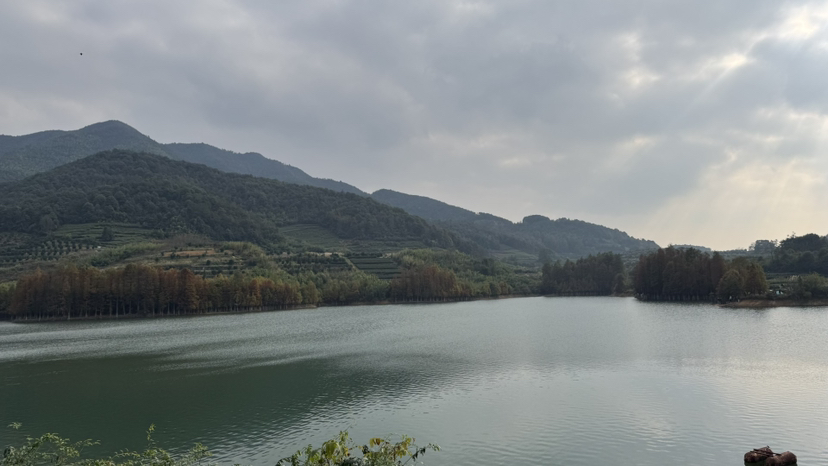 嵊州秋景,更楼古道