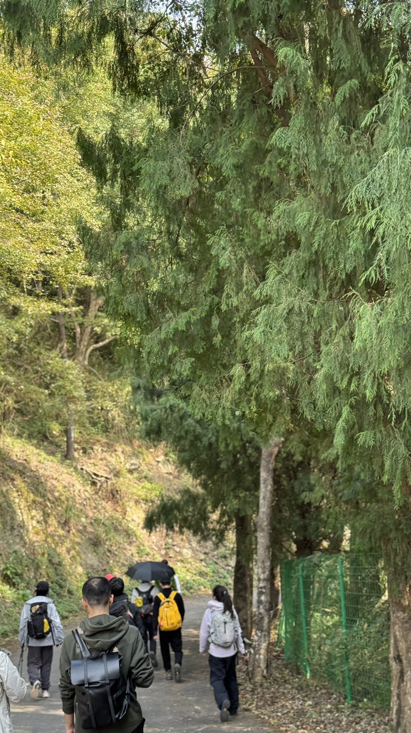 嵊州秋景,更楼古道