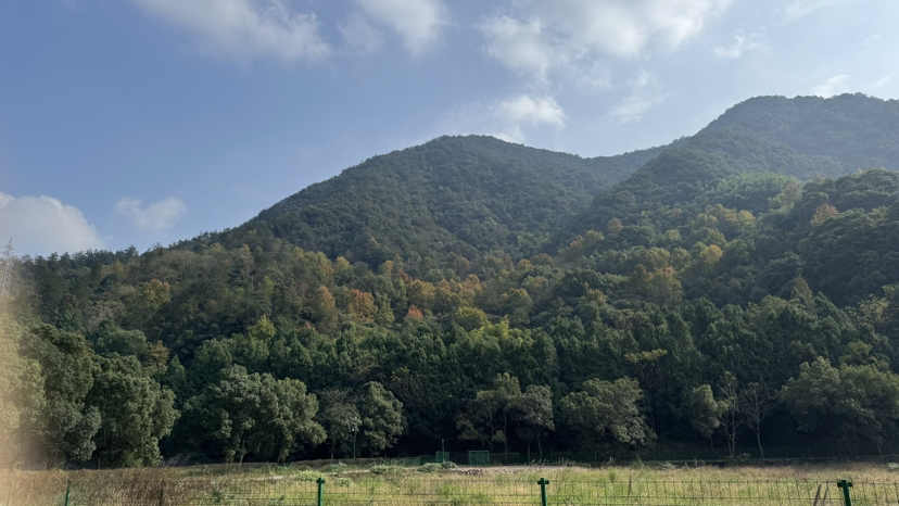嵊州秋景,更楼古道