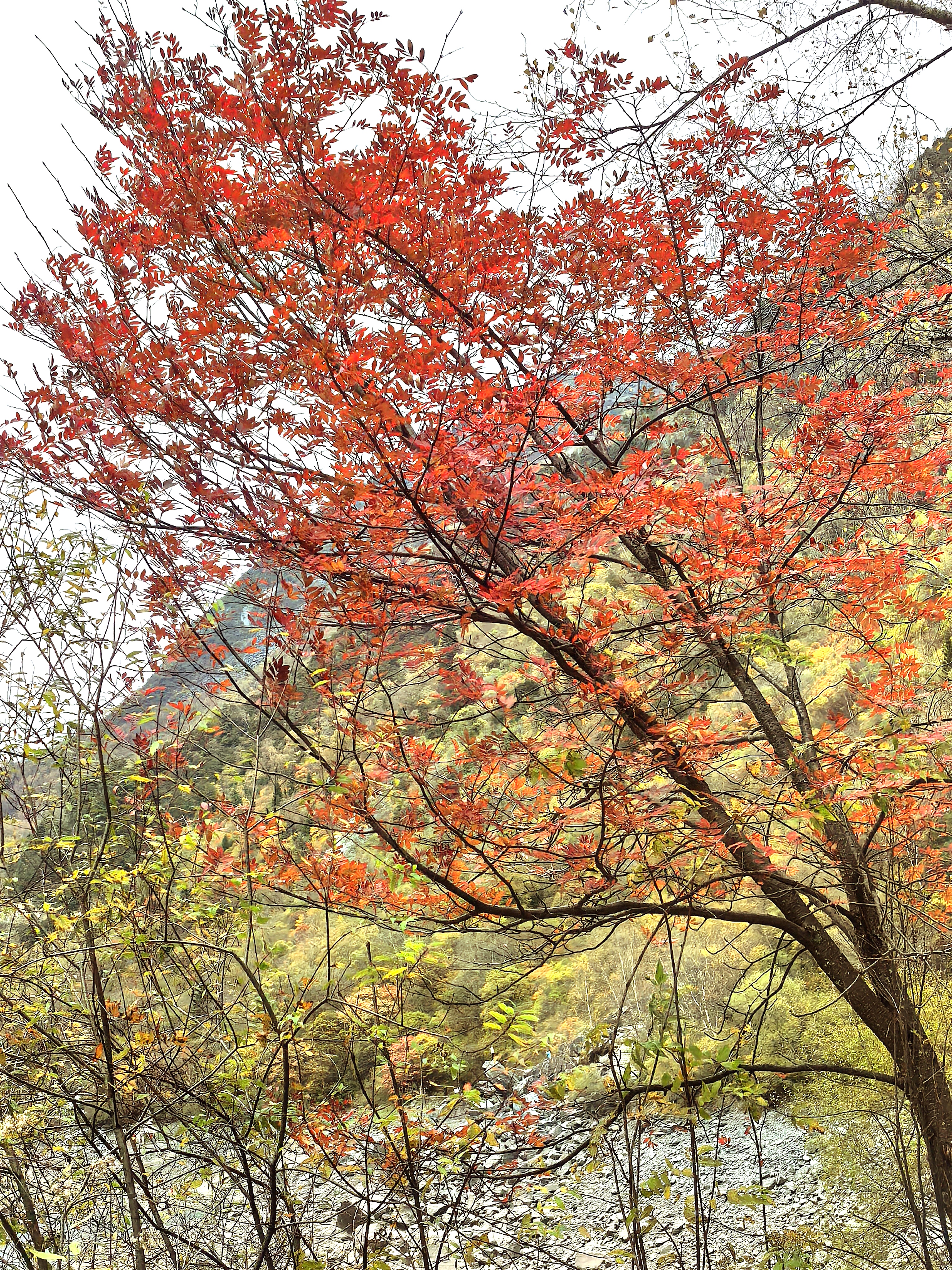 走遍祖国的大好河山