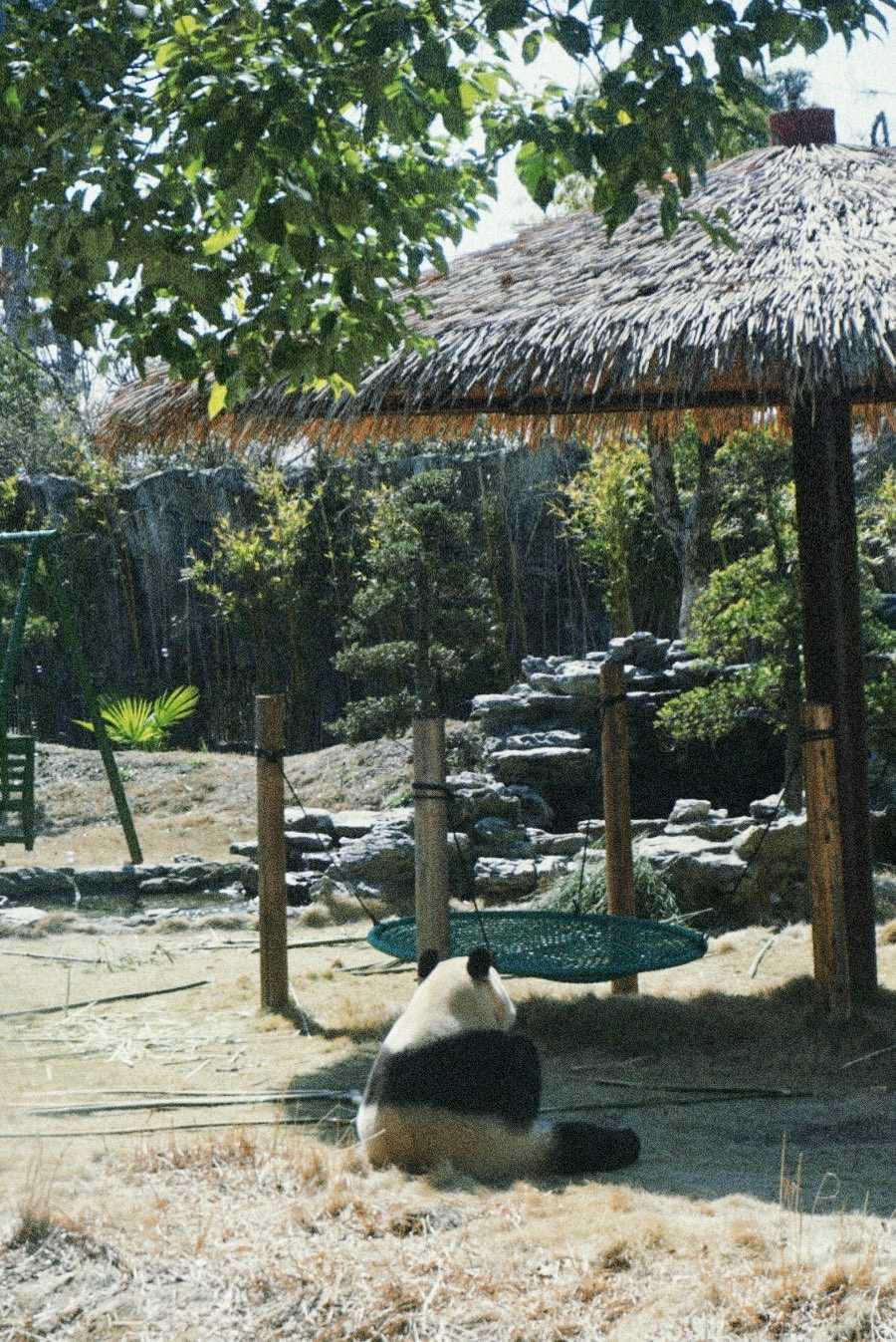 野生动物园