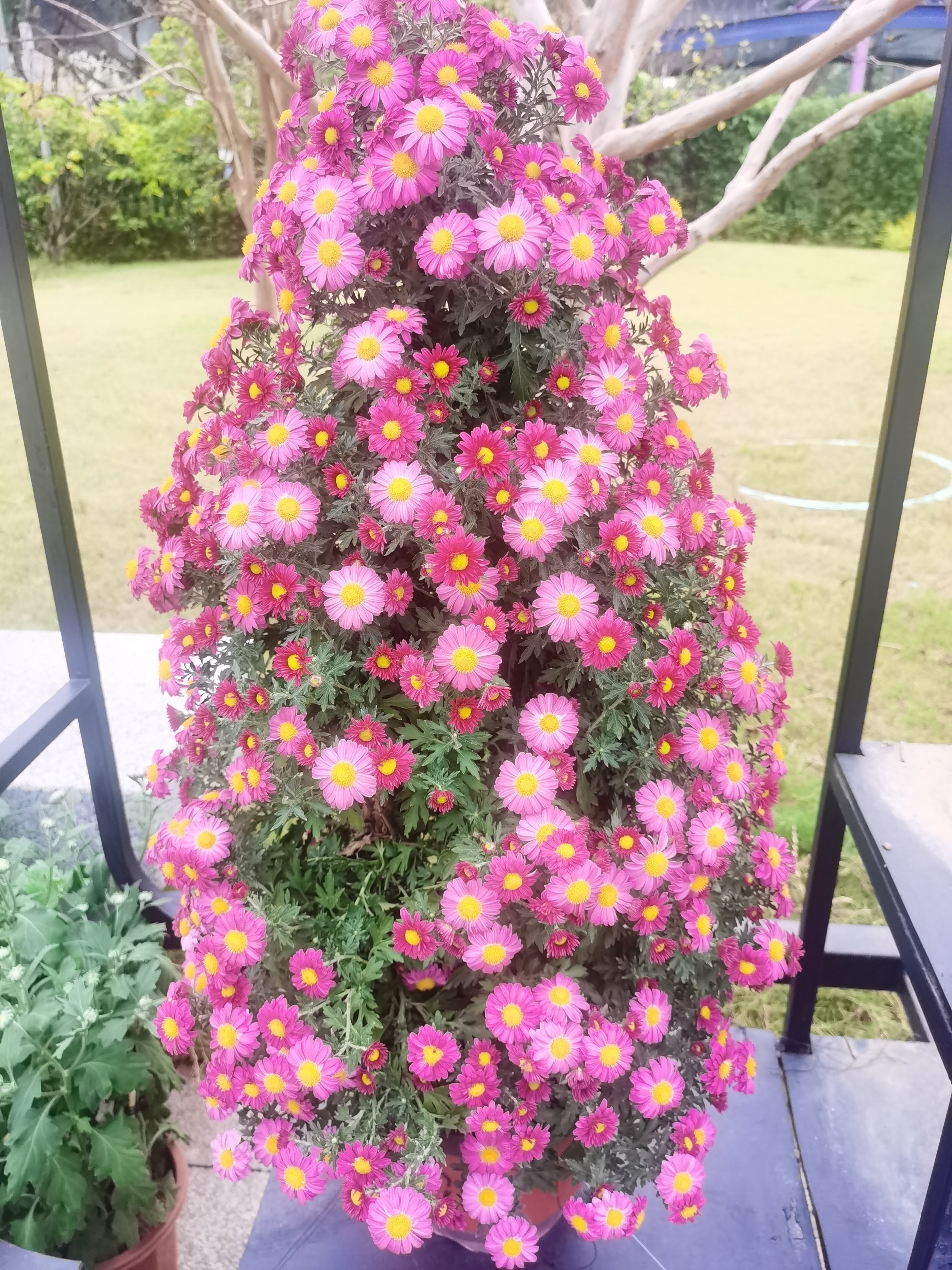 高兴就好啦
