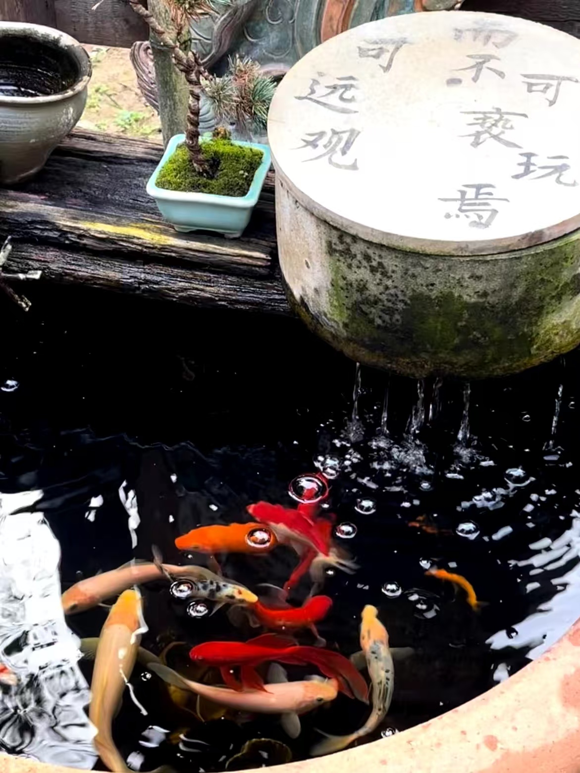 同盟古镇游玩