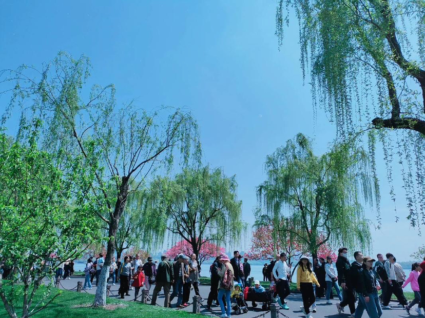 《杭州西湖游记》一直听闻杭州西湖有着独一无二的美，终于寻得机会前去一探到底。踏入西湖景区，第一映入眼帘的便是那