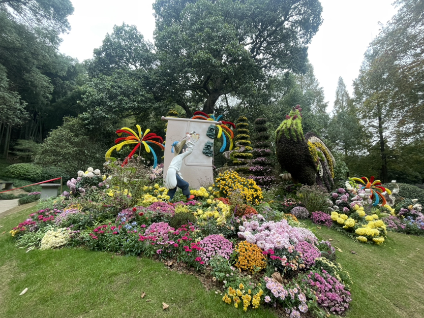 植物园菊花展游记