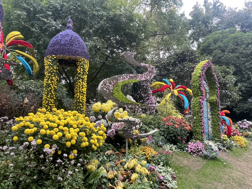 植物园菊花展游记