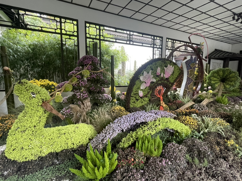 植物园菊花展游记
