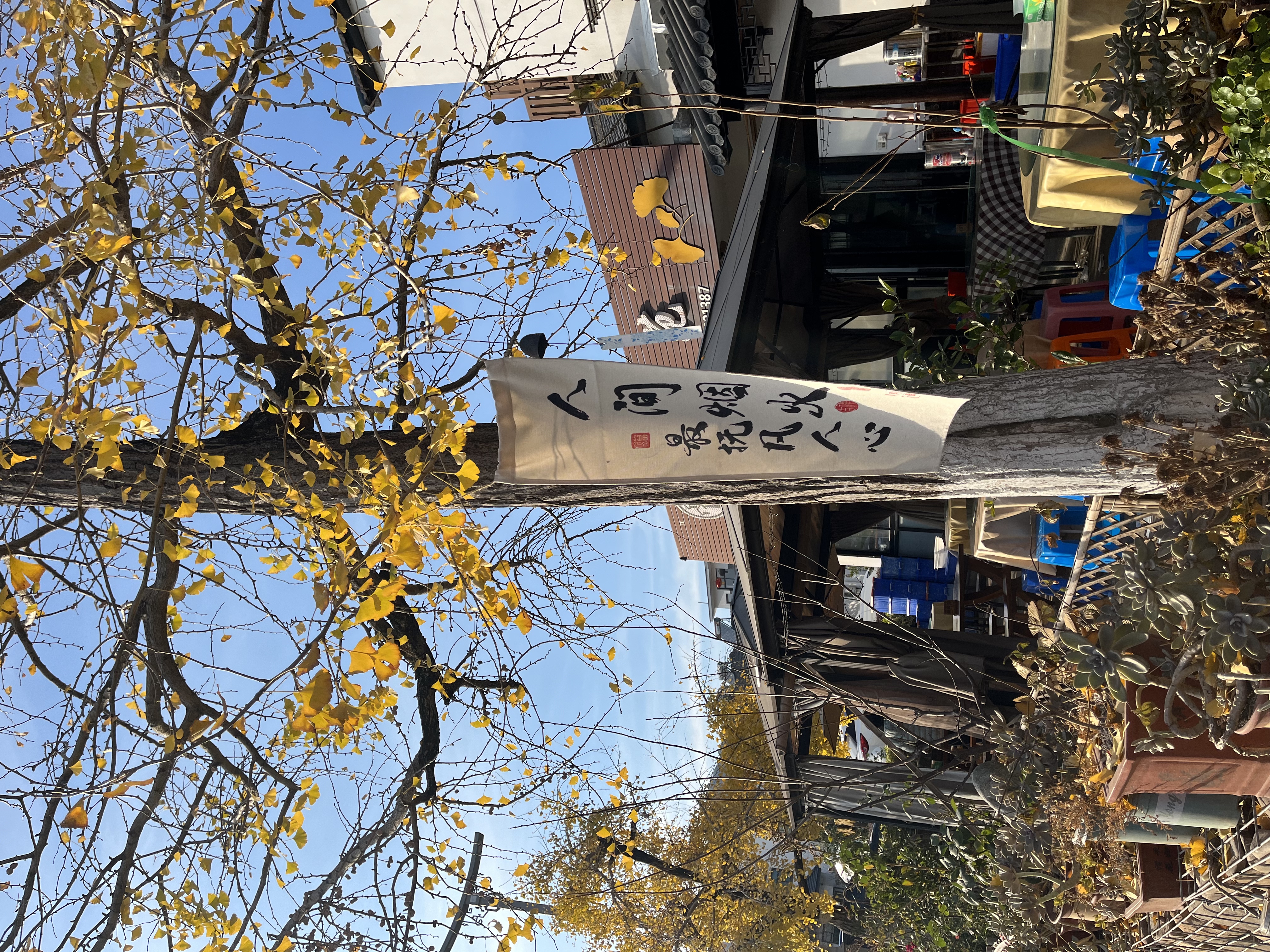 漫步金色海洋