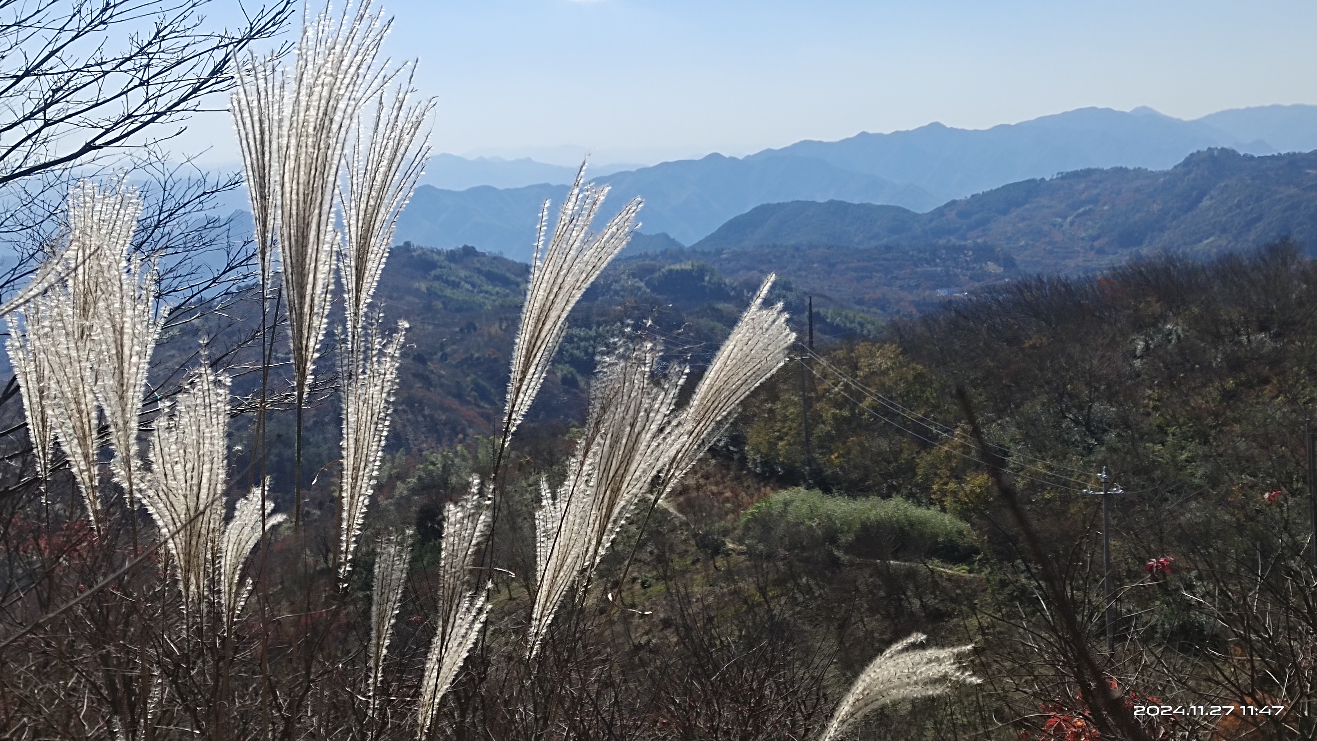 冬季最好看的的风景，红枫