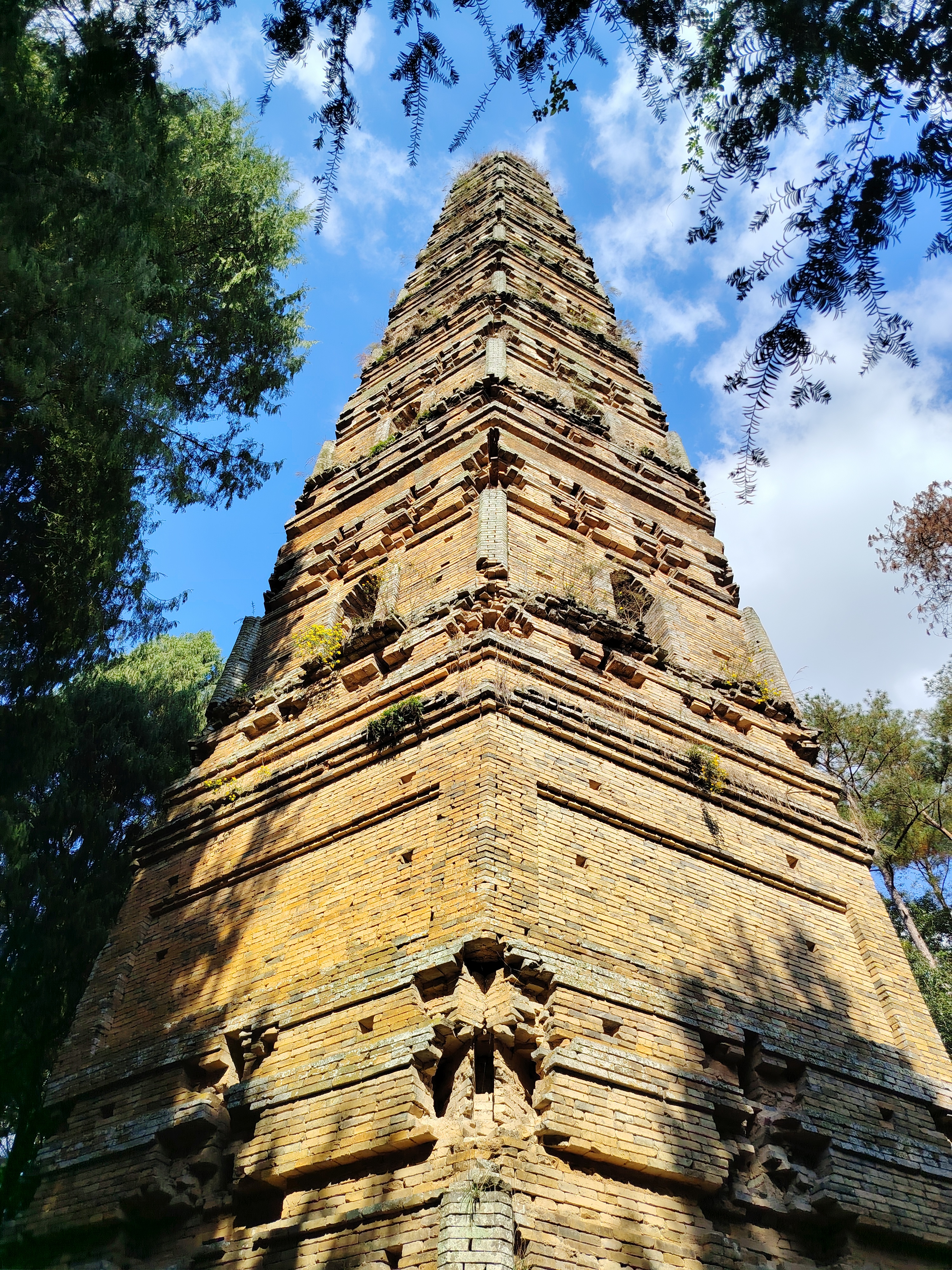 漫步国清寺