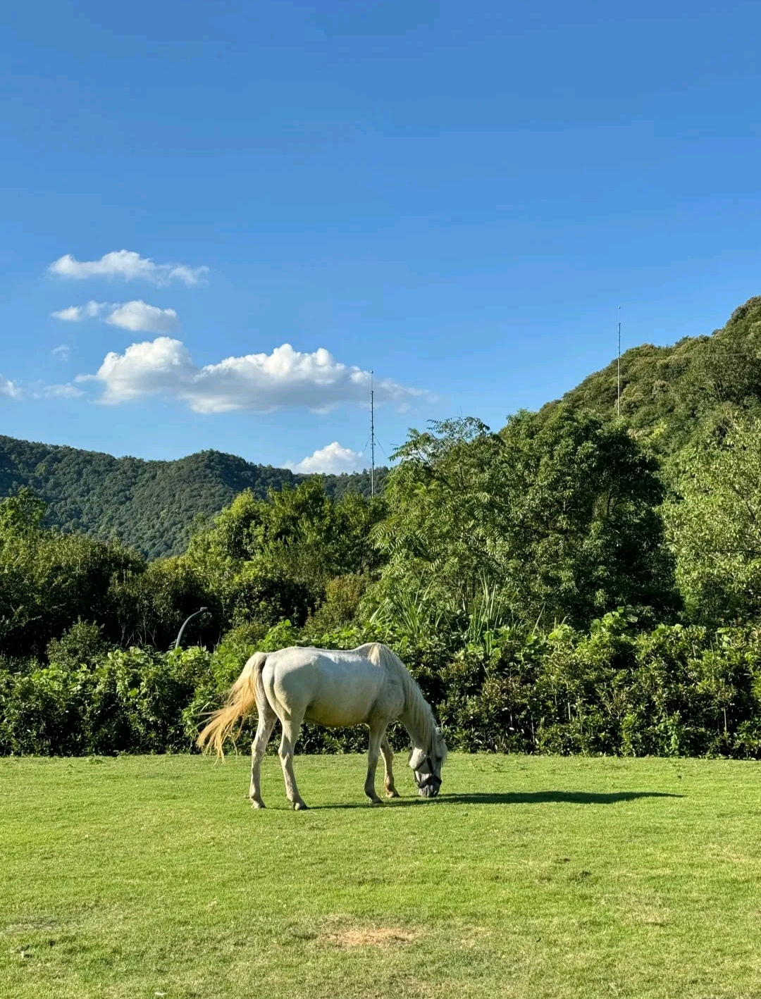 杭州有风营地